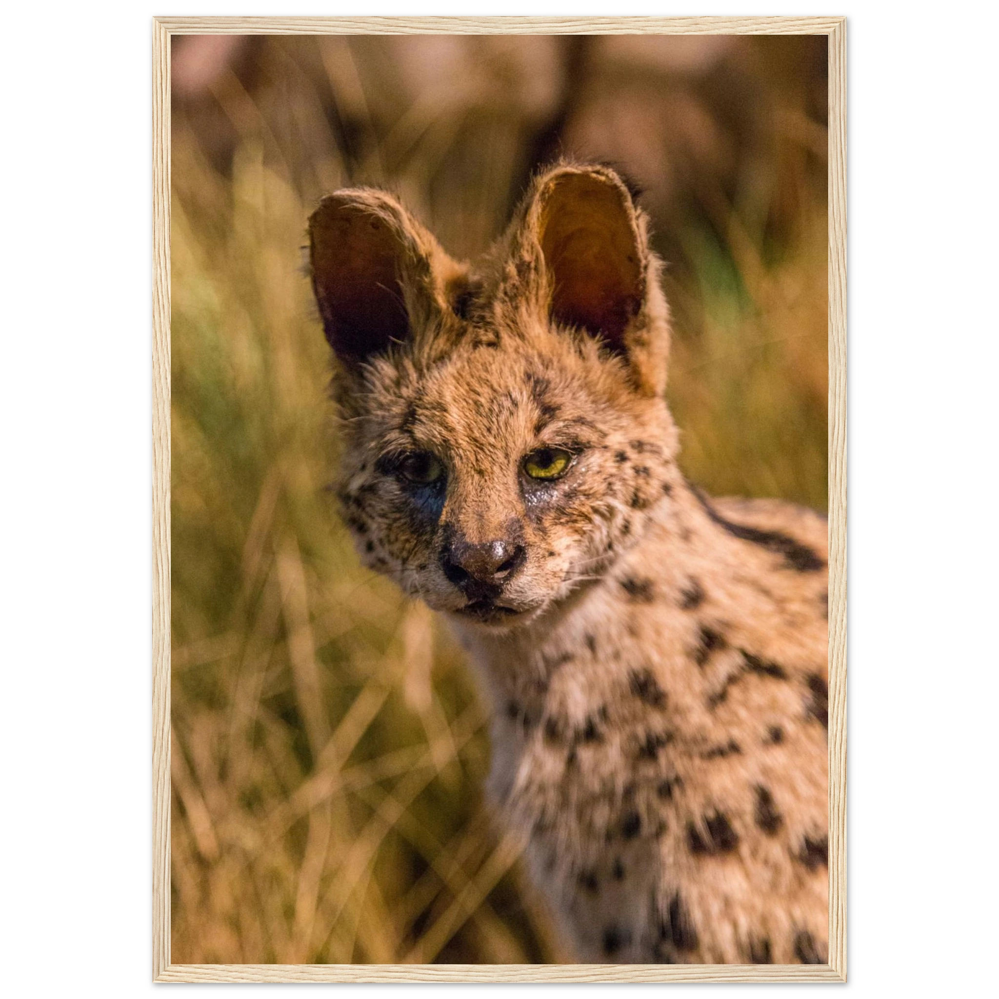 9b9b9961-95a0-4add-ac5f-7433a659aaa4