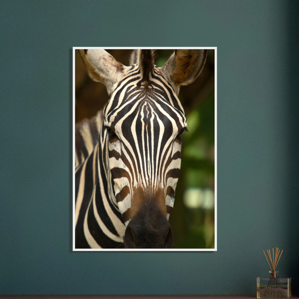 9ba297d8-711f-480e-b6f7-99632e05f7e0