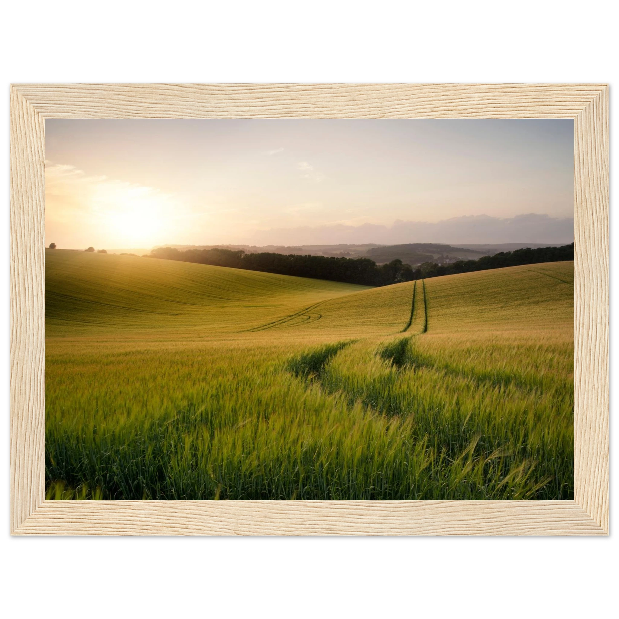 9bbb40f2-ea96-4515-8466-6f9c4218aaa2