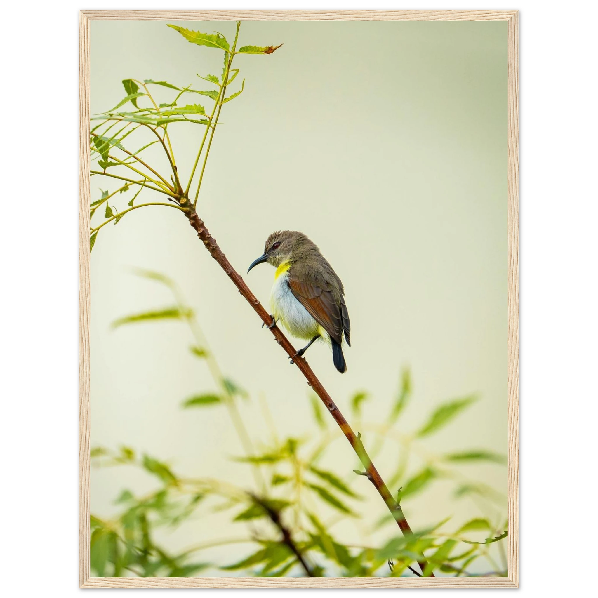 9bd89a62-67a8-48a4-a21f-dfc41d30e3ee