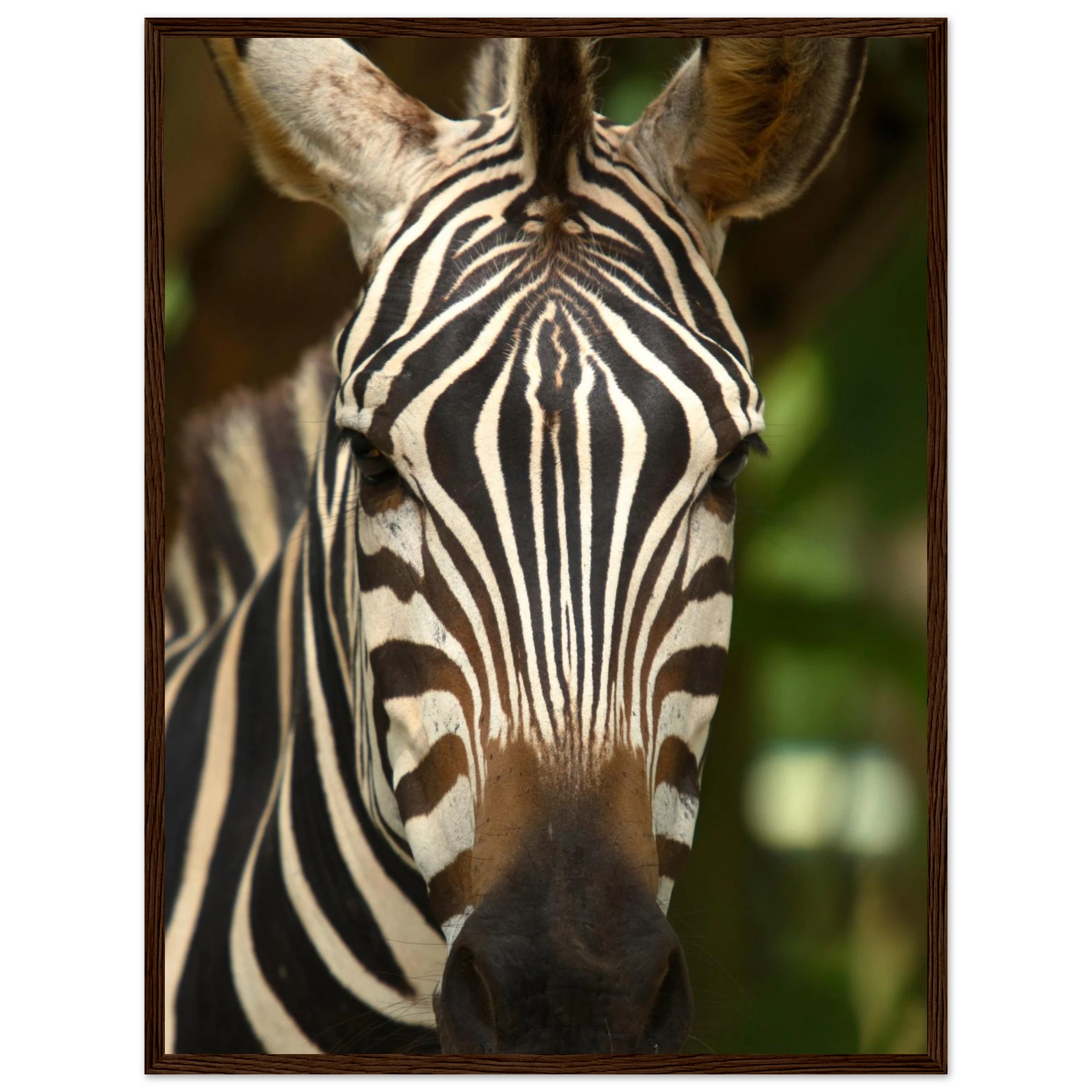 9bed19f6-6624-4308-a929-53a64685dfda