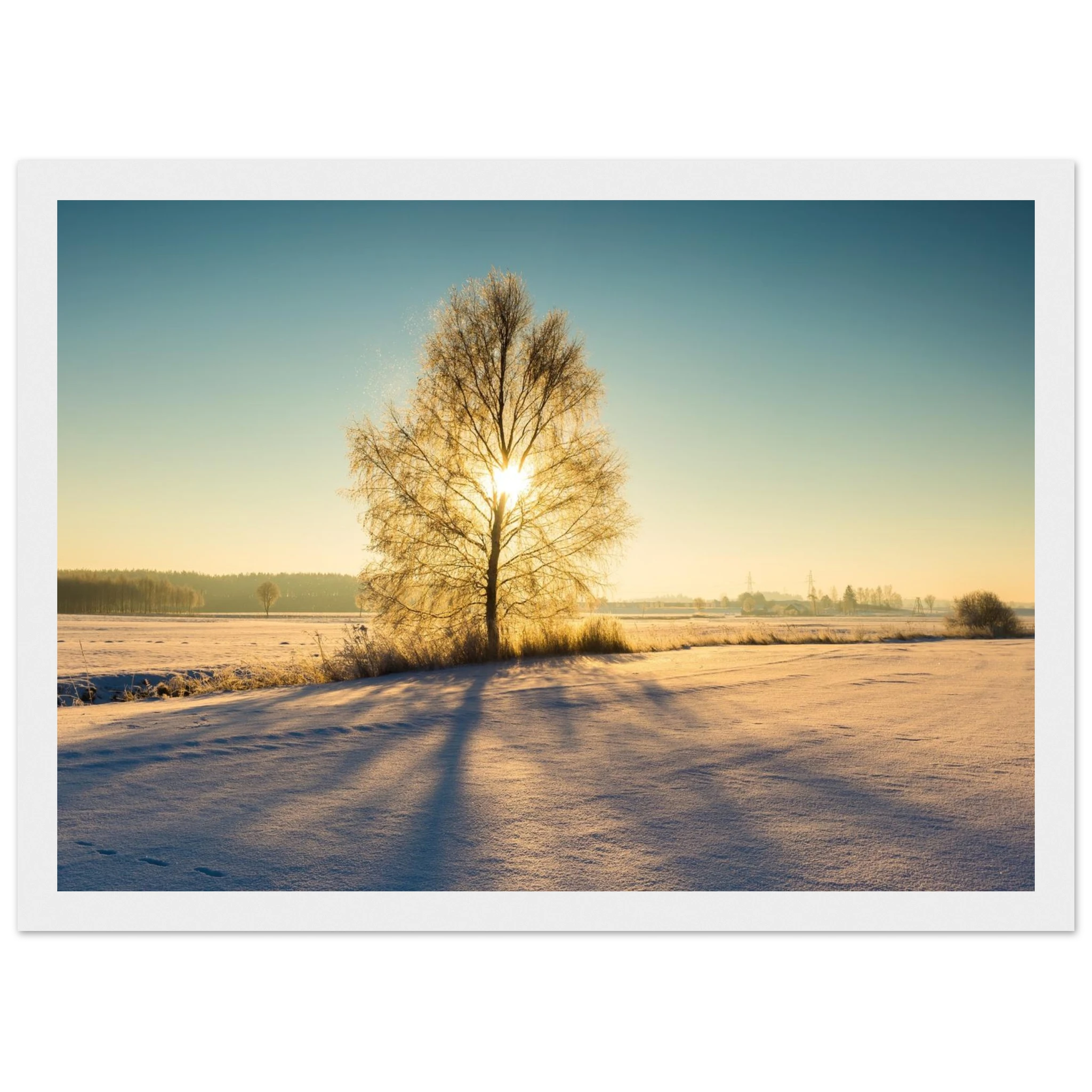 9c0261be-0719-49ef-8a5a-869aa7c74043