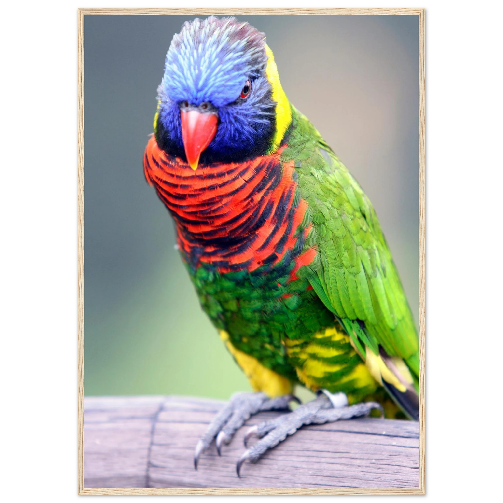 9c0cbfa0-baf9-4482-ad3b-29ef95176717