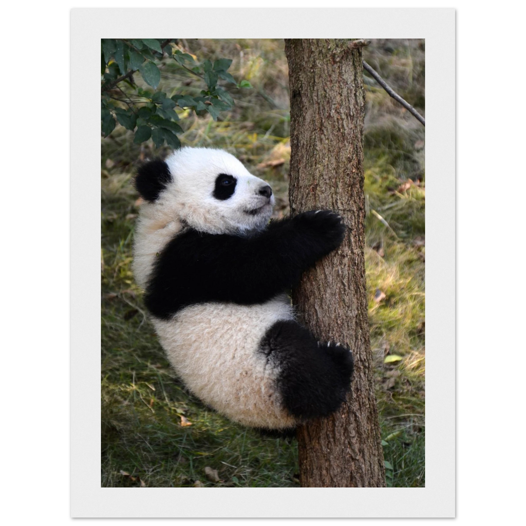 9c1245d9-7777-42d2-8f33-924048fcb70f