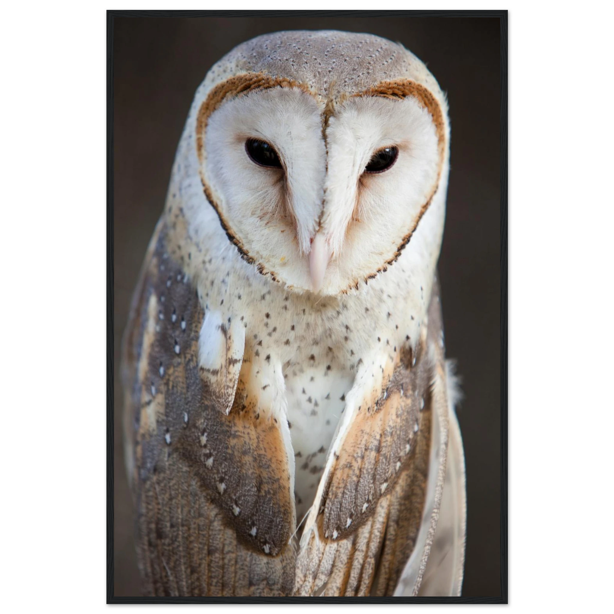 9c13651b-adc8-4520-aa4b-cd943afe22bf