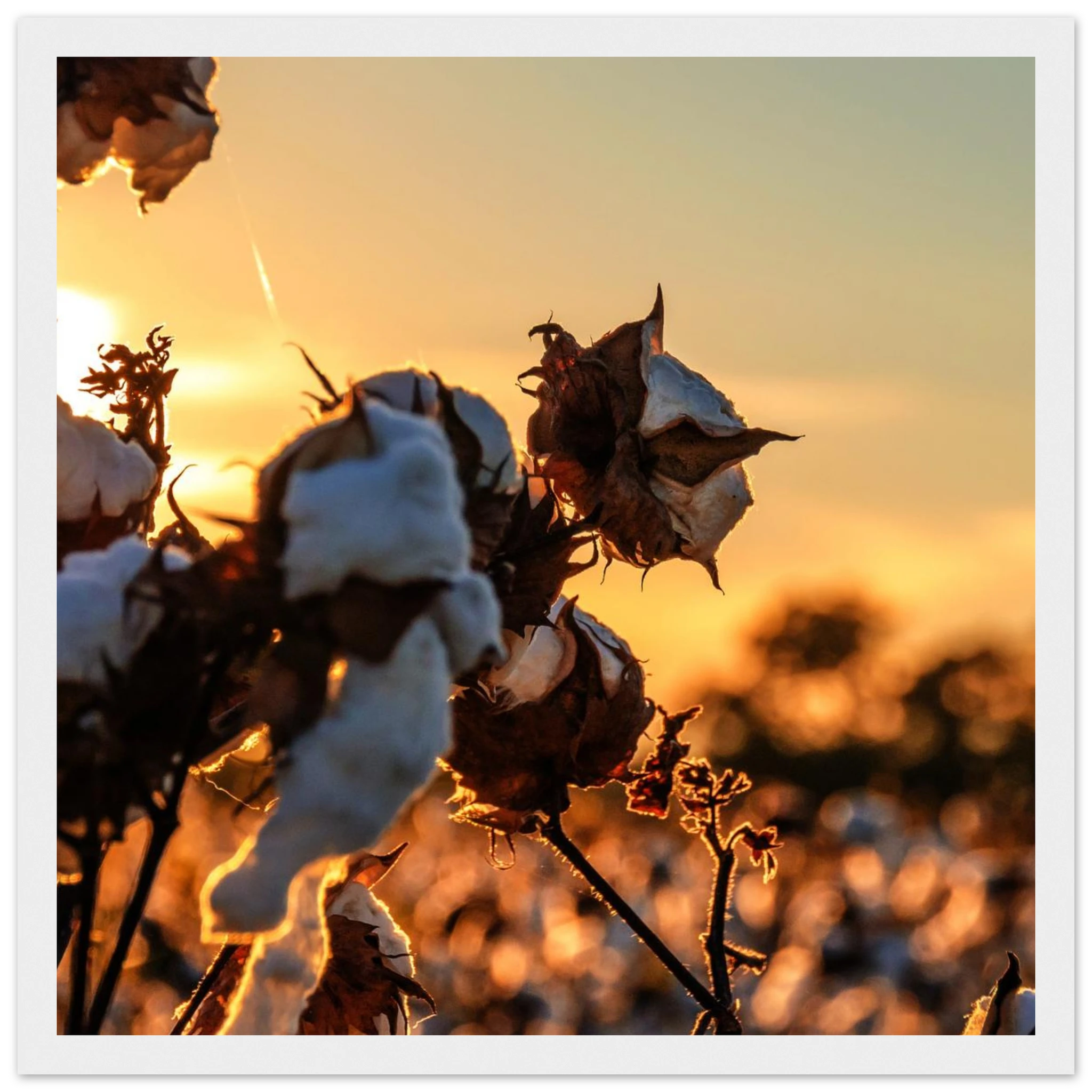 9c361ac6-c368-4440-8d66-ec61dda01e2c