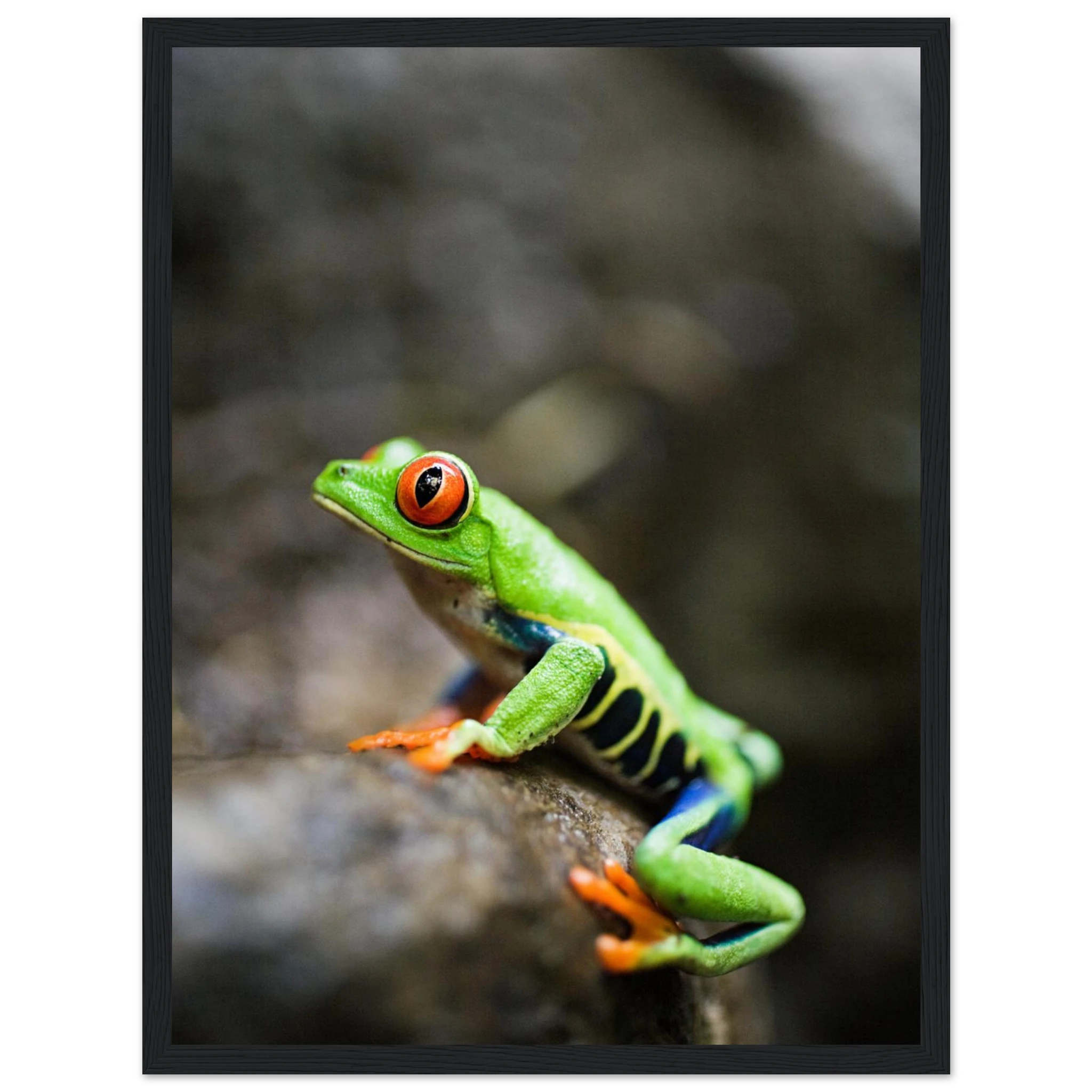 9c4b3231-bf82-4b10-bdec-b8774c7ec248