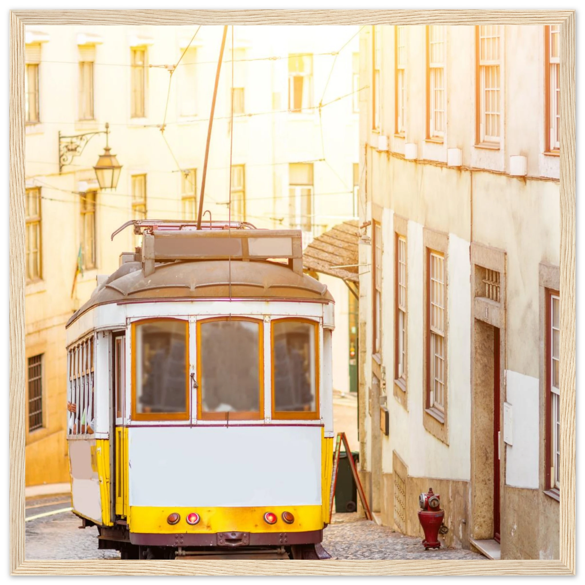 9c50d0fd-535a-4e2f-aed2-7662503ea83d