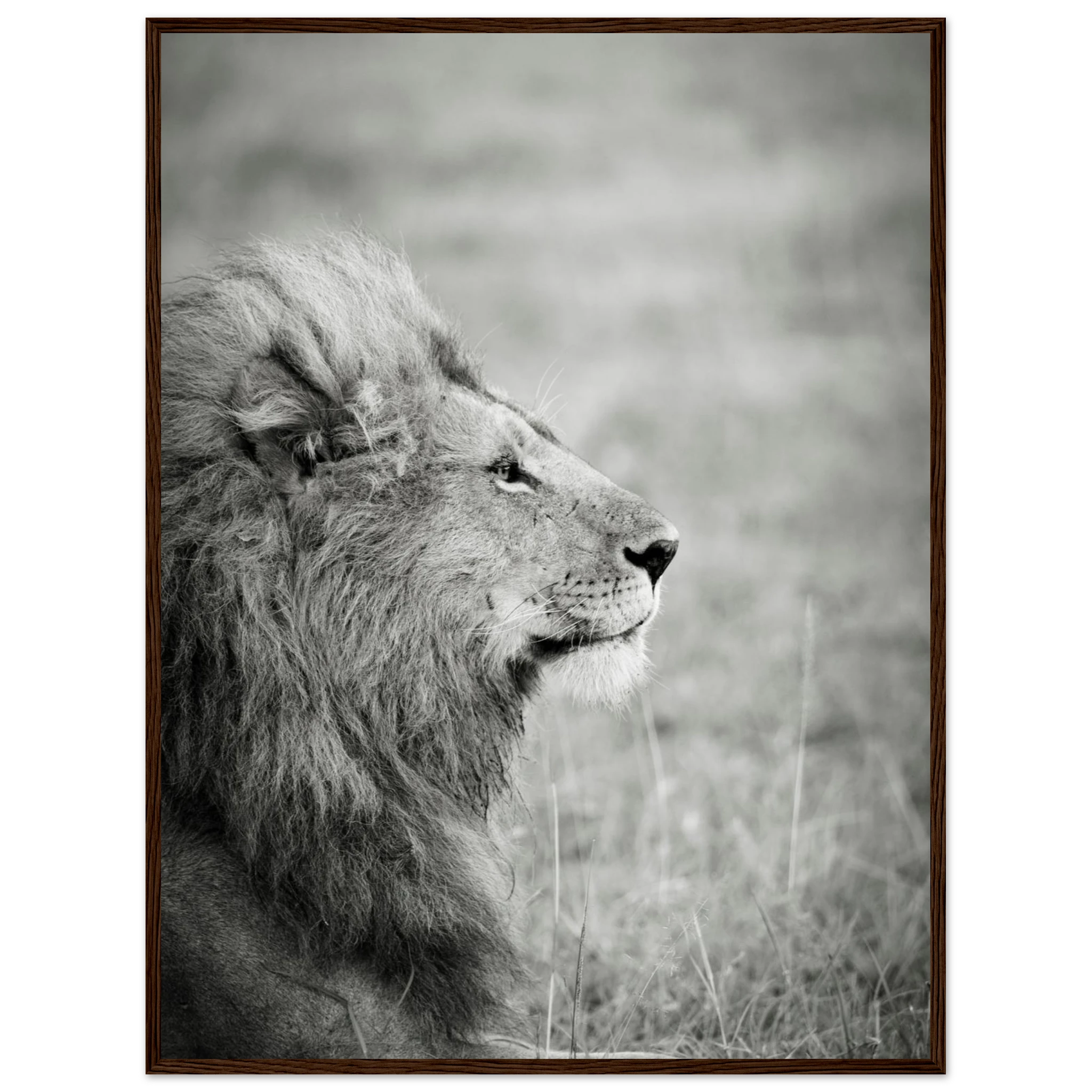 9c5461b8-2eee-41c9-bbe3-56fe86d2de65