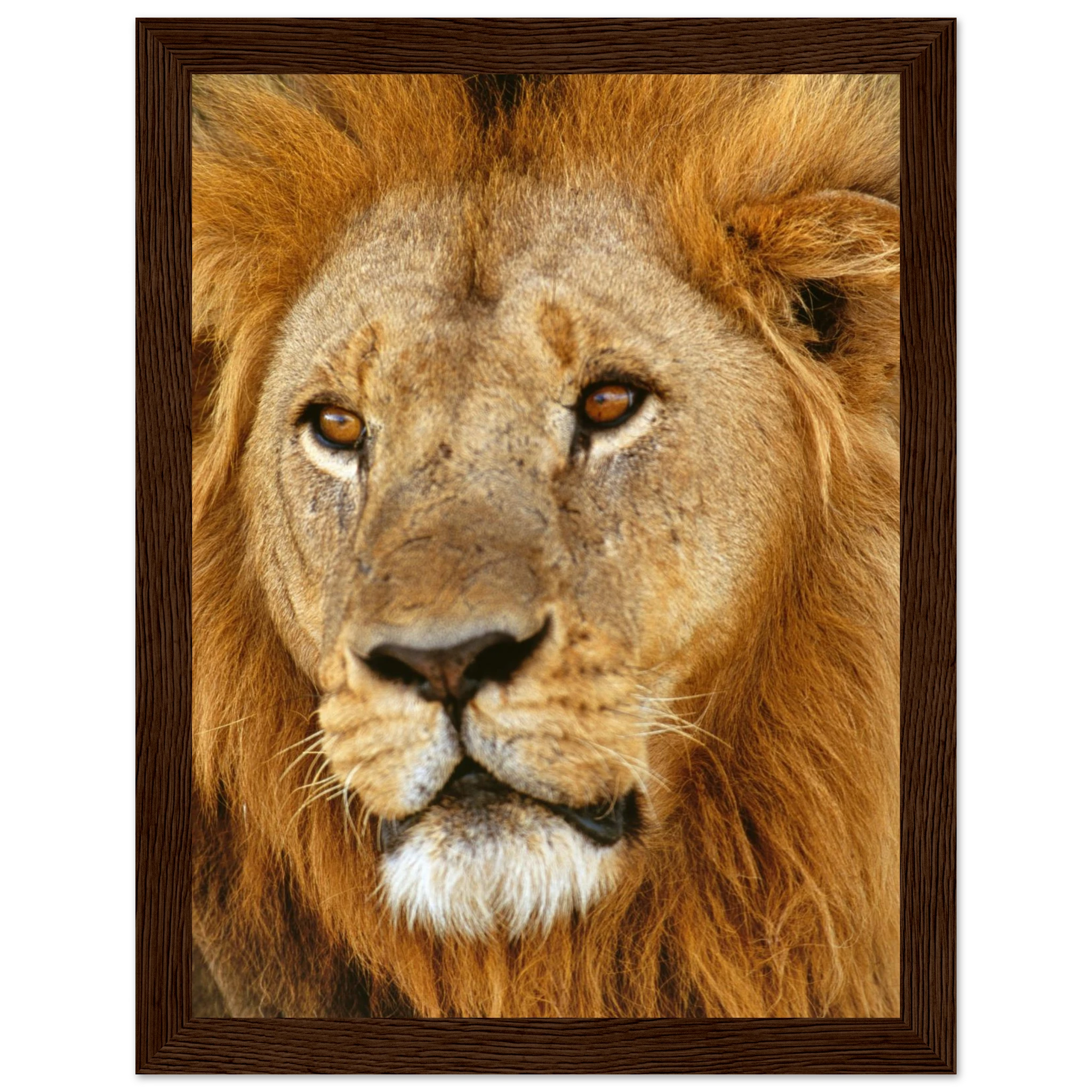 9c6ca08c-a7f7-4ea2-989c-0c42a158ca9f