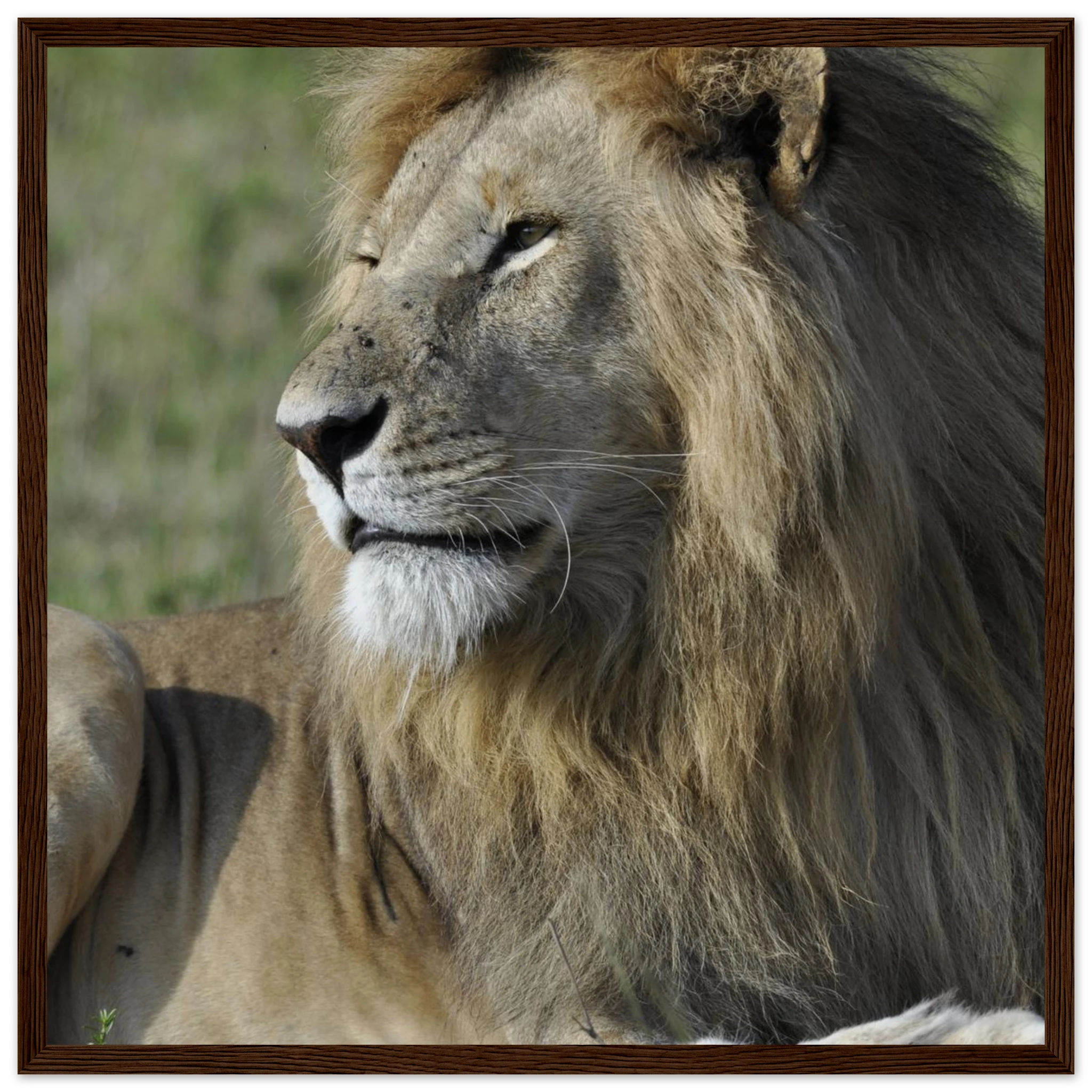 9c730df4-0b9a-4575-b691-2c6dc20833c3