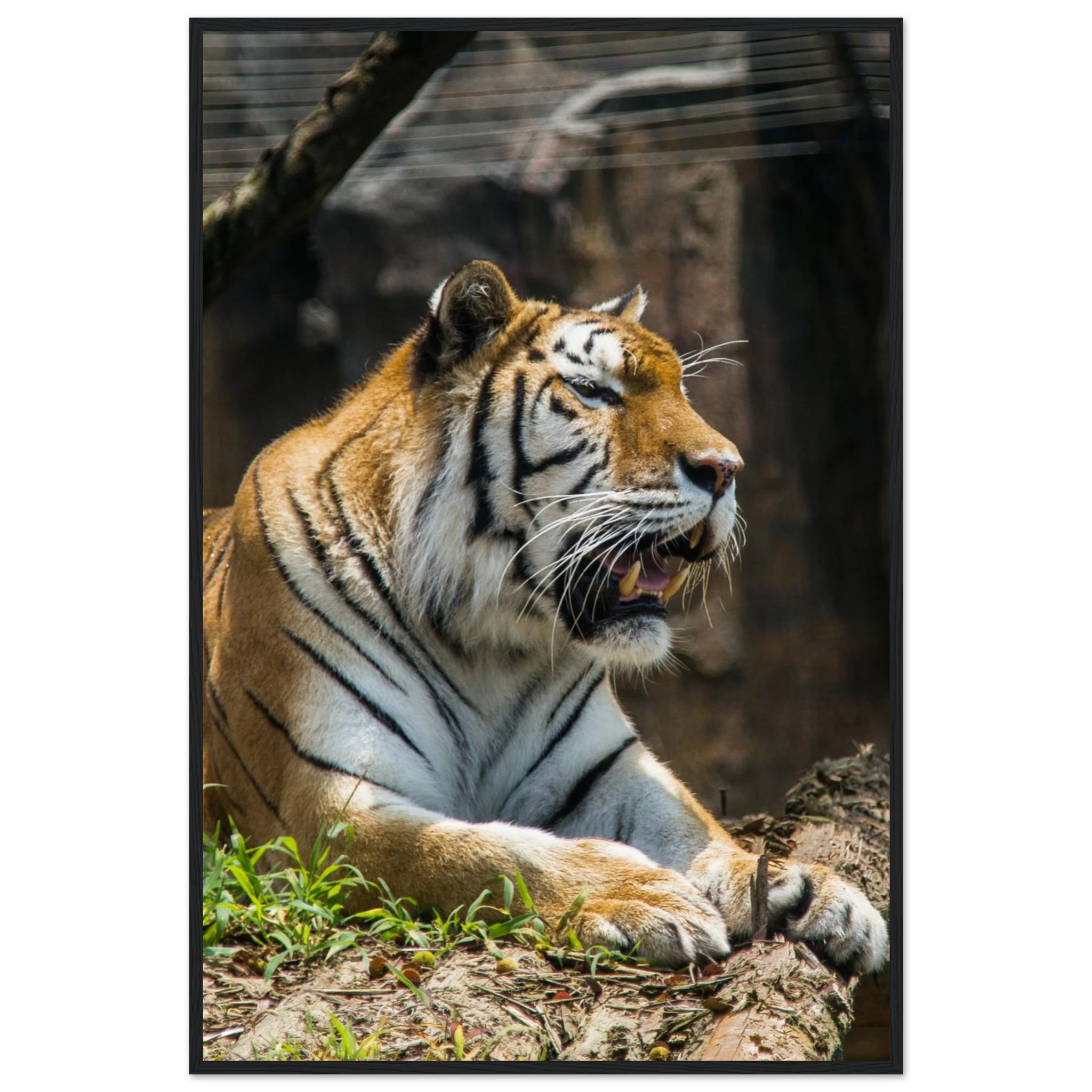 9ca16d40-1f12-42da-b5ff-96860f9bad0b