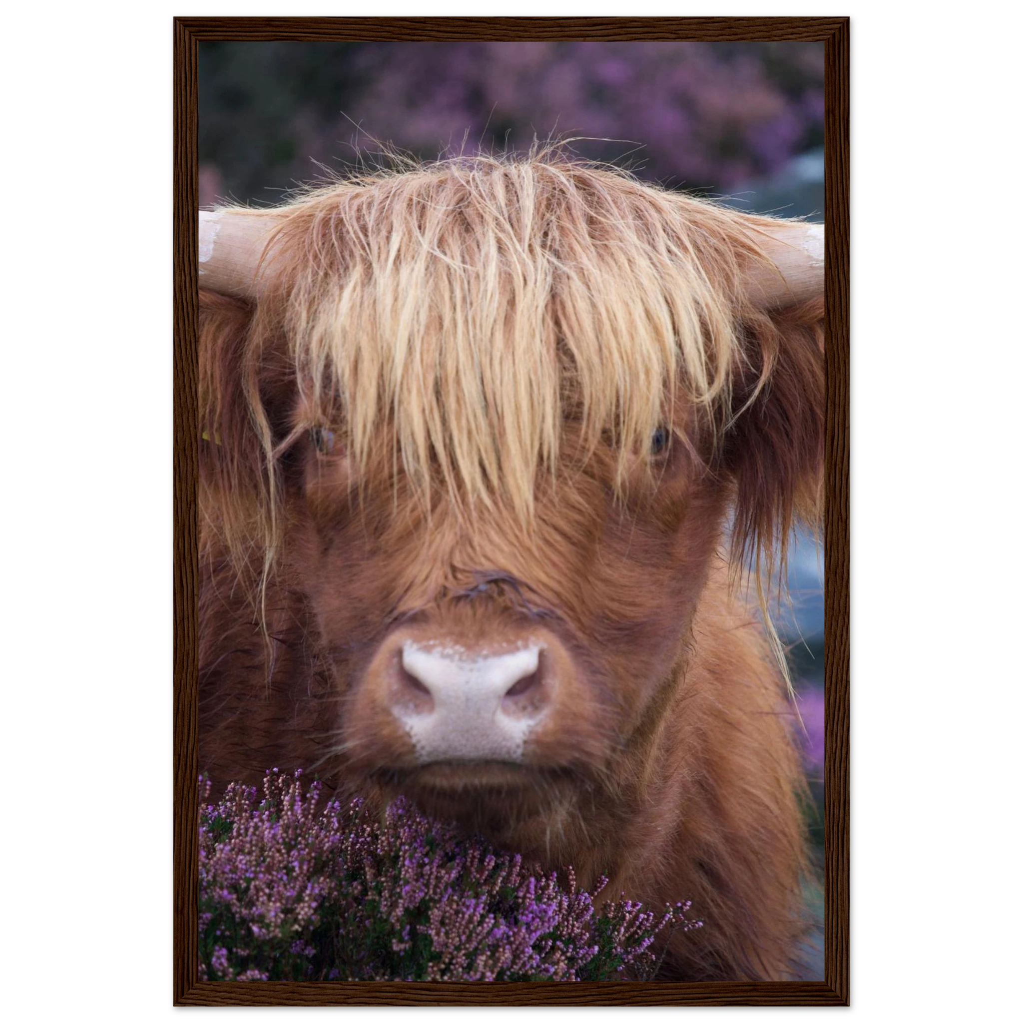 9cc5ba3d-d6fc-4df9-b08a-162b40034dbd