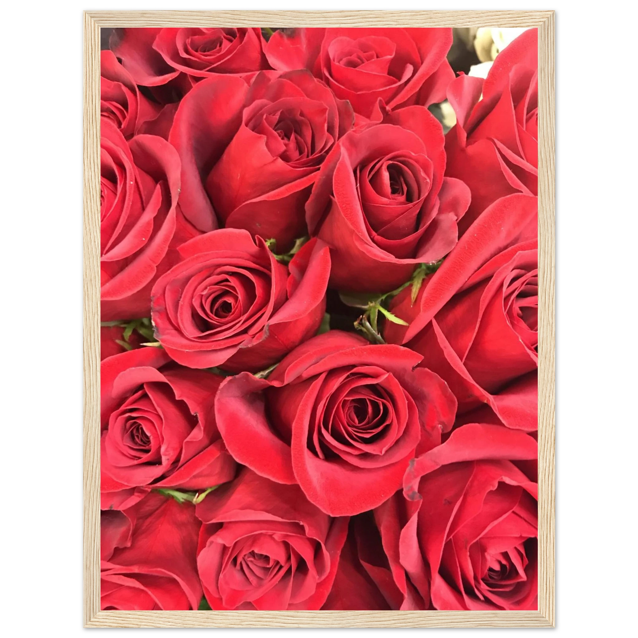 9cc951a0-2105-4799-876f-76f741fdea65