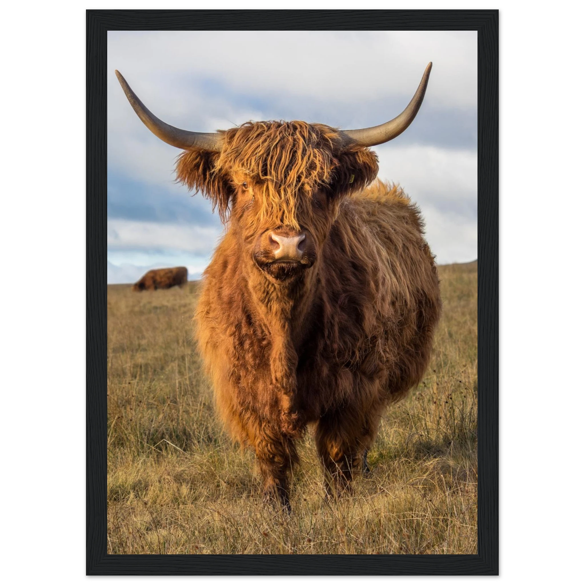 9ce8a7e3-2398-4d4e-9936-dfdb935f4490