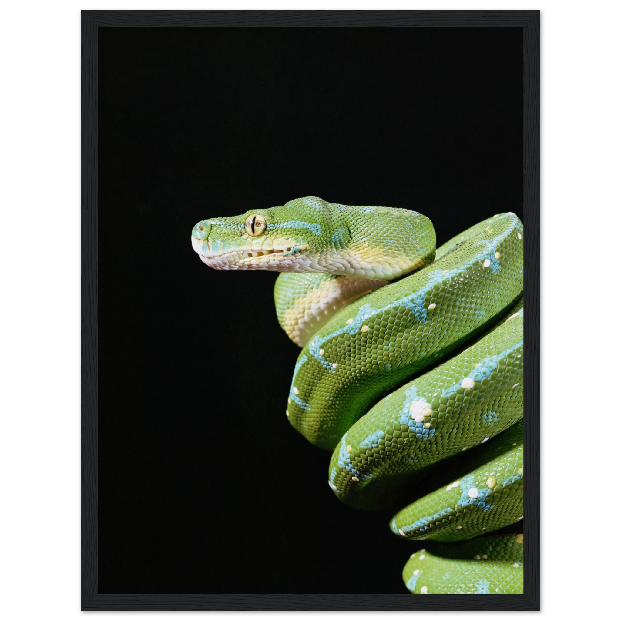 9ceaeff2-e637-40dc-b36b-9a101bf41355