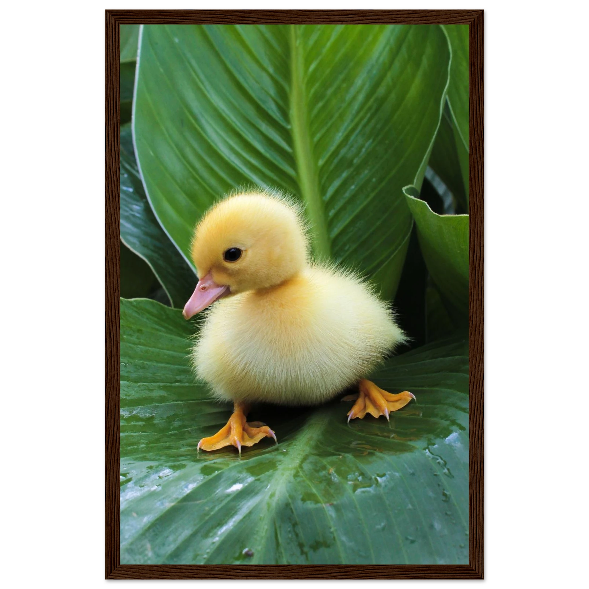 9d1eda88-b6e6-496d-982c-966ba0dfeabd