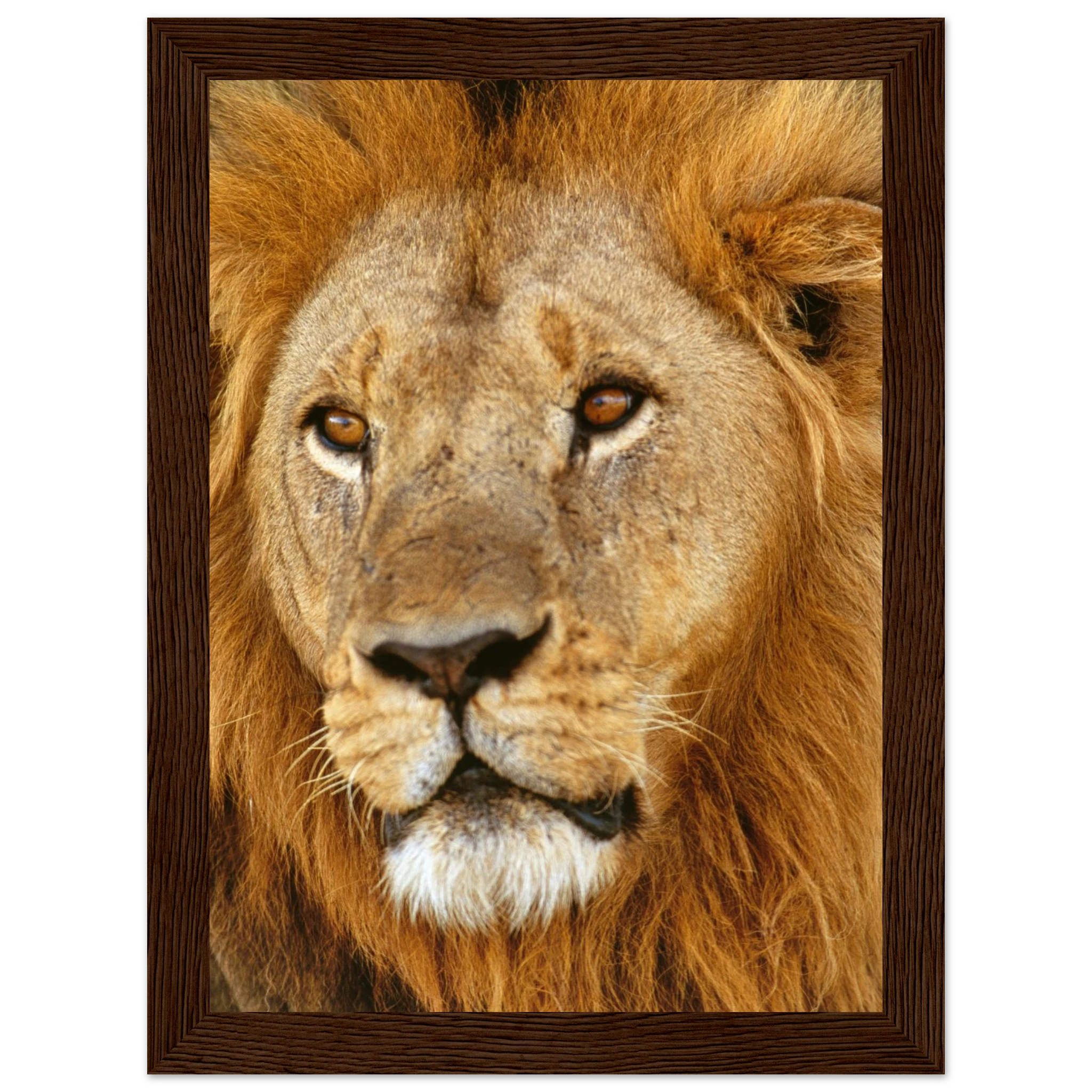 9d23e0a1-188e-431a-b98c-afd7d2976a21