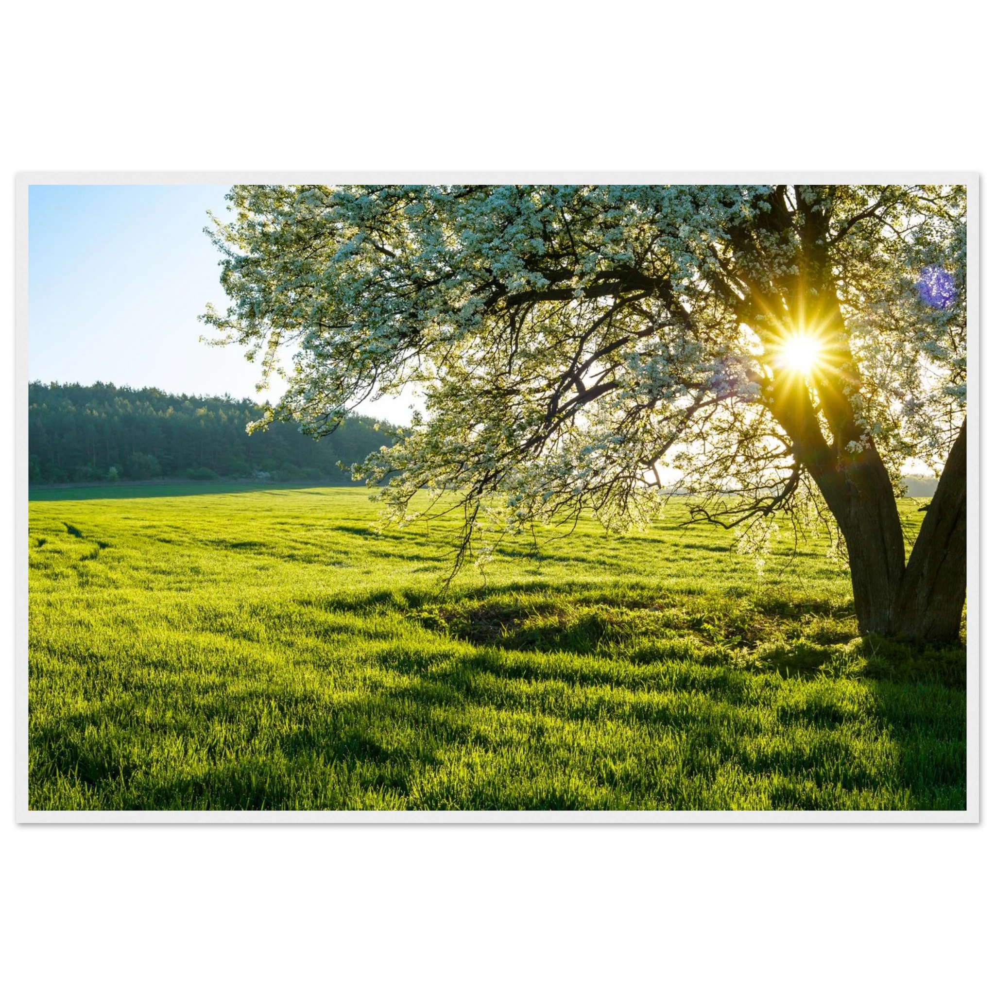 9d286c49-1e7f-42b1-b3e5-cfcbd1fbb44a