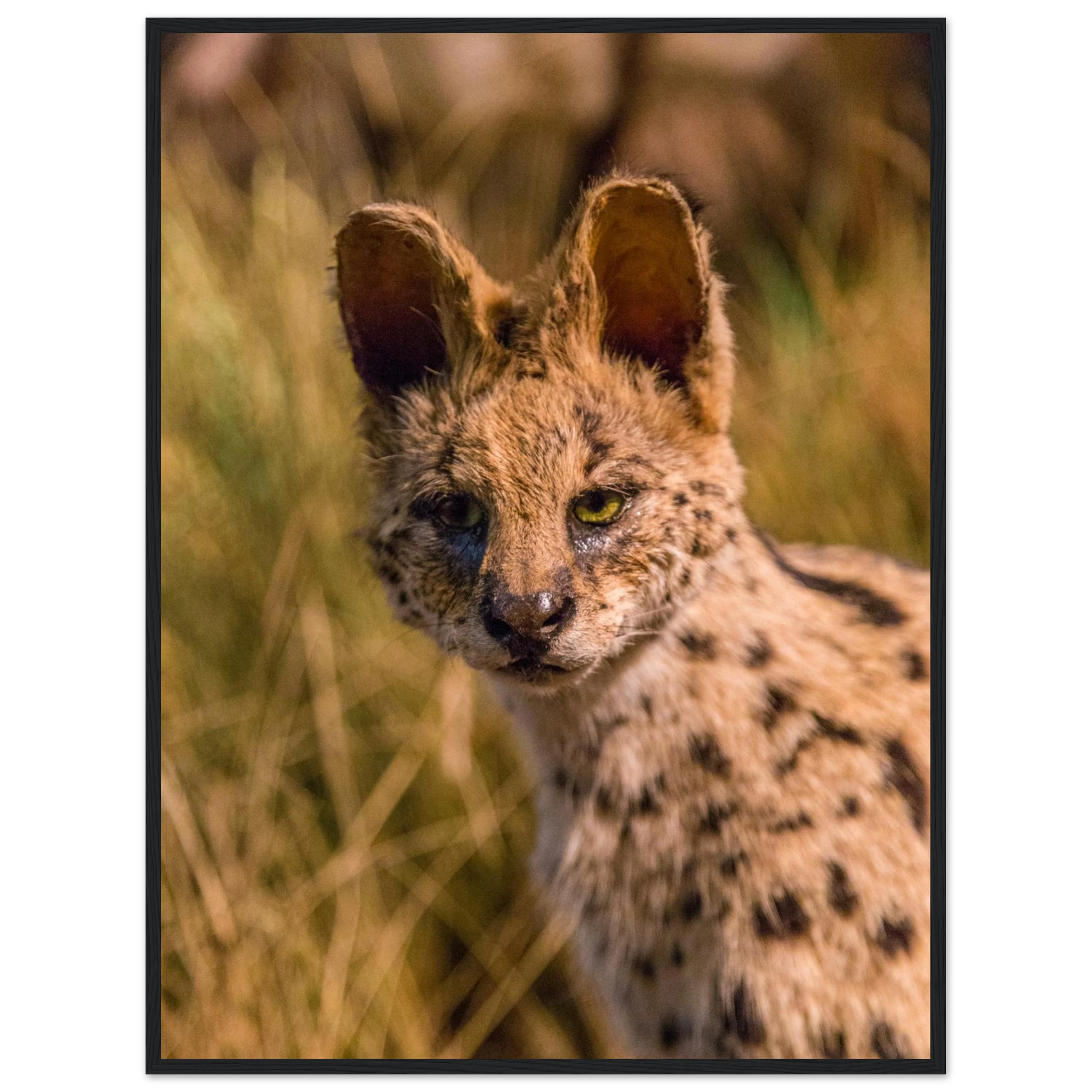 9d4a3fa9-dfb9-470b-918c-cbc95fc67d3a