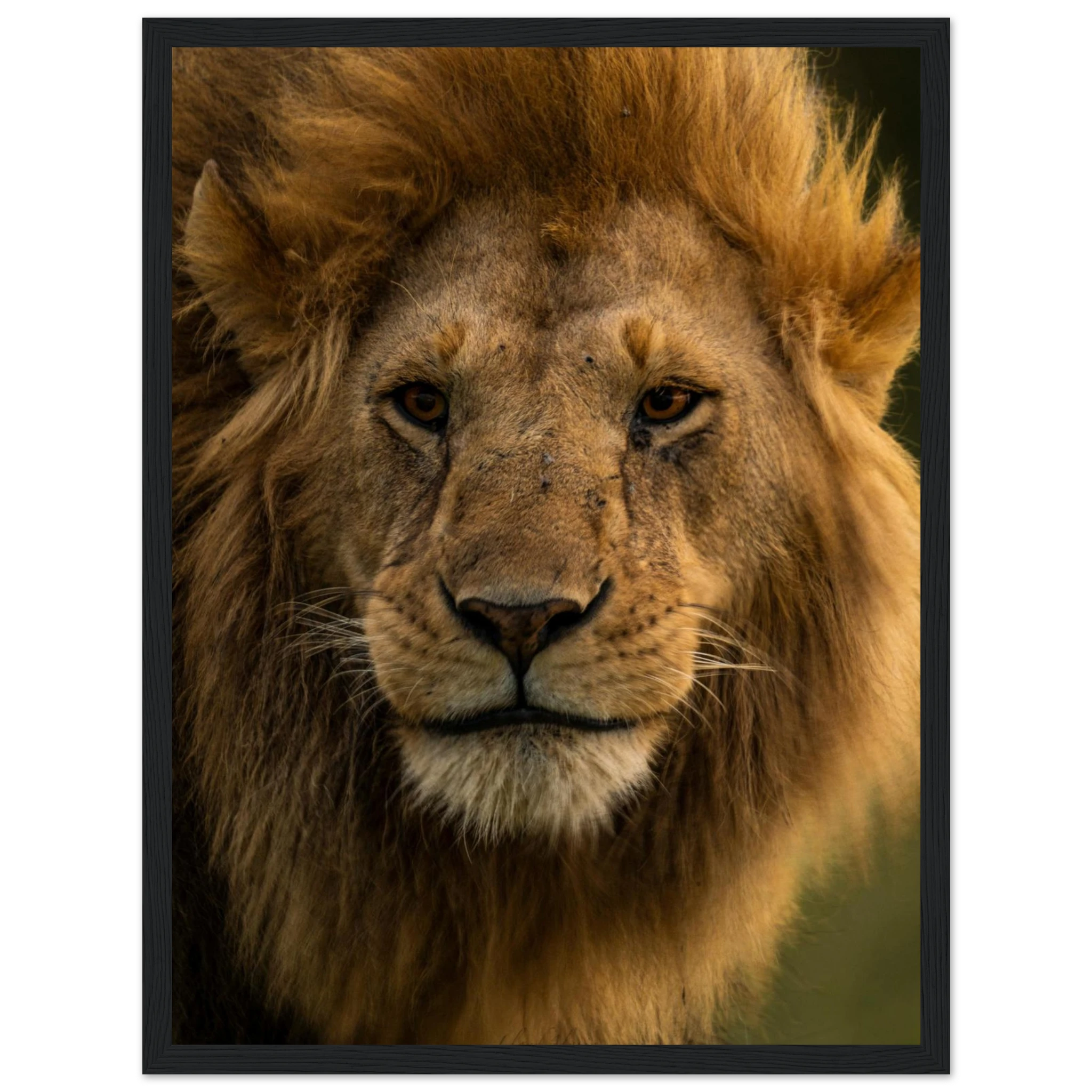 9d6be0d8-c919-4d72-b2a7-dbe316f2308f