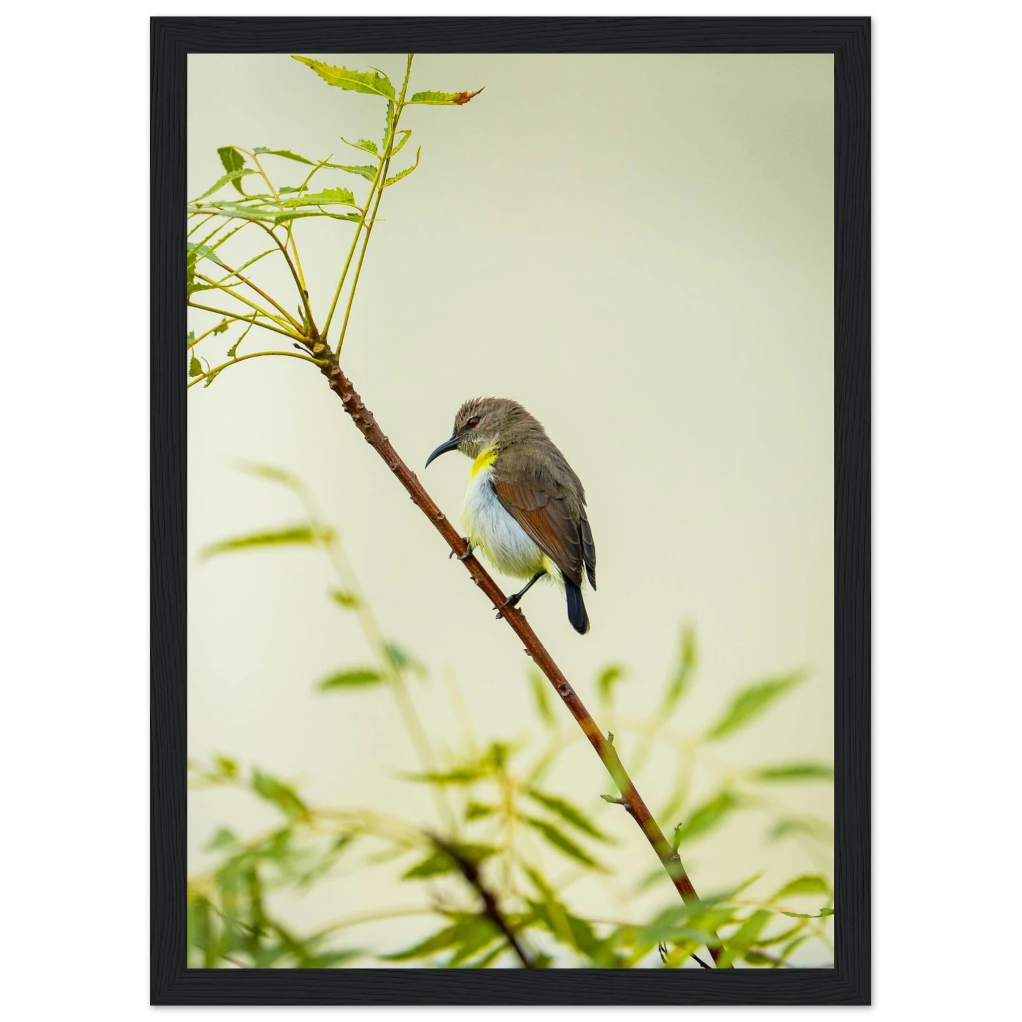 9d921989-c7dd-42ad-9409-0253603752d8