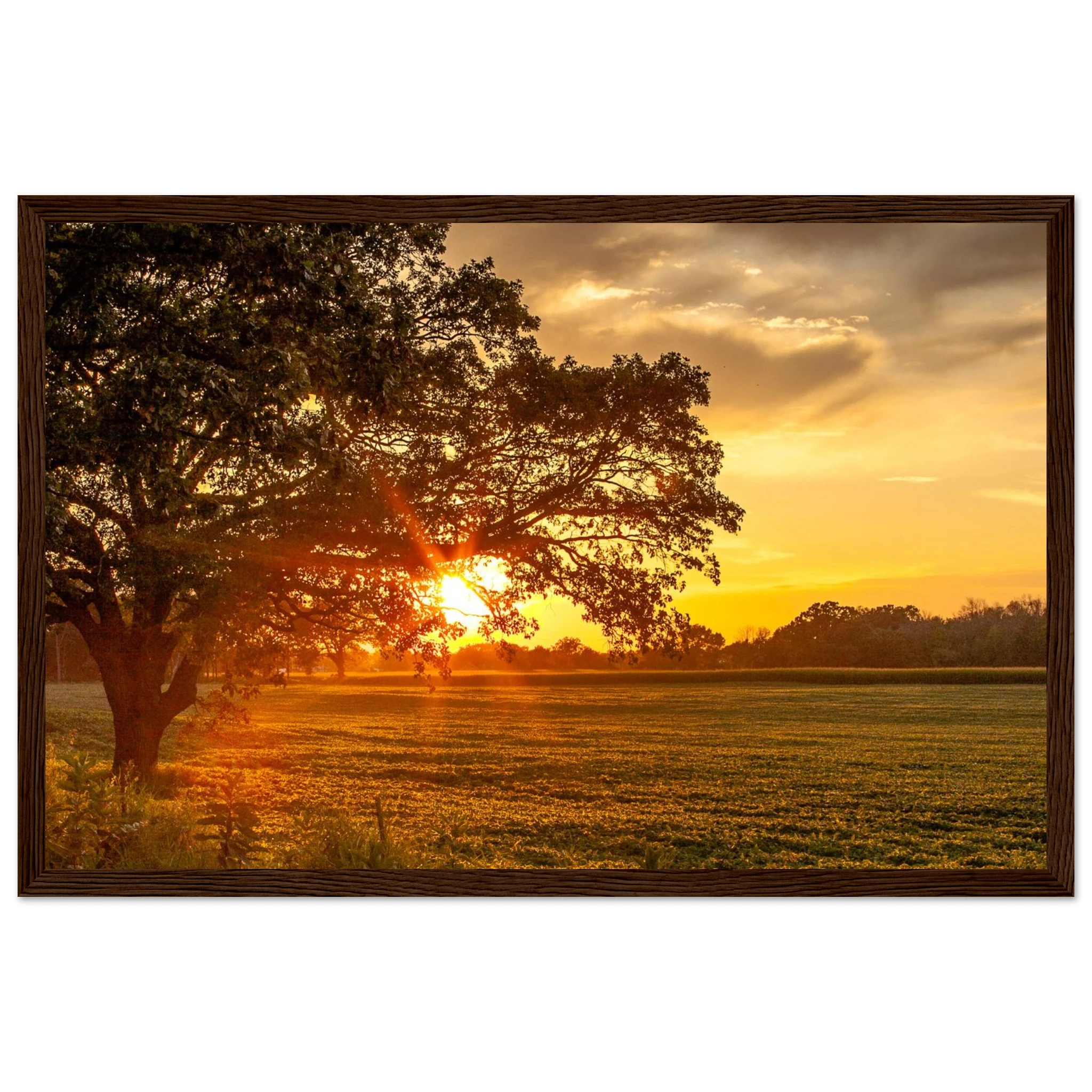 9dcee35d-f732-47bd-985c-a0001011b4fd