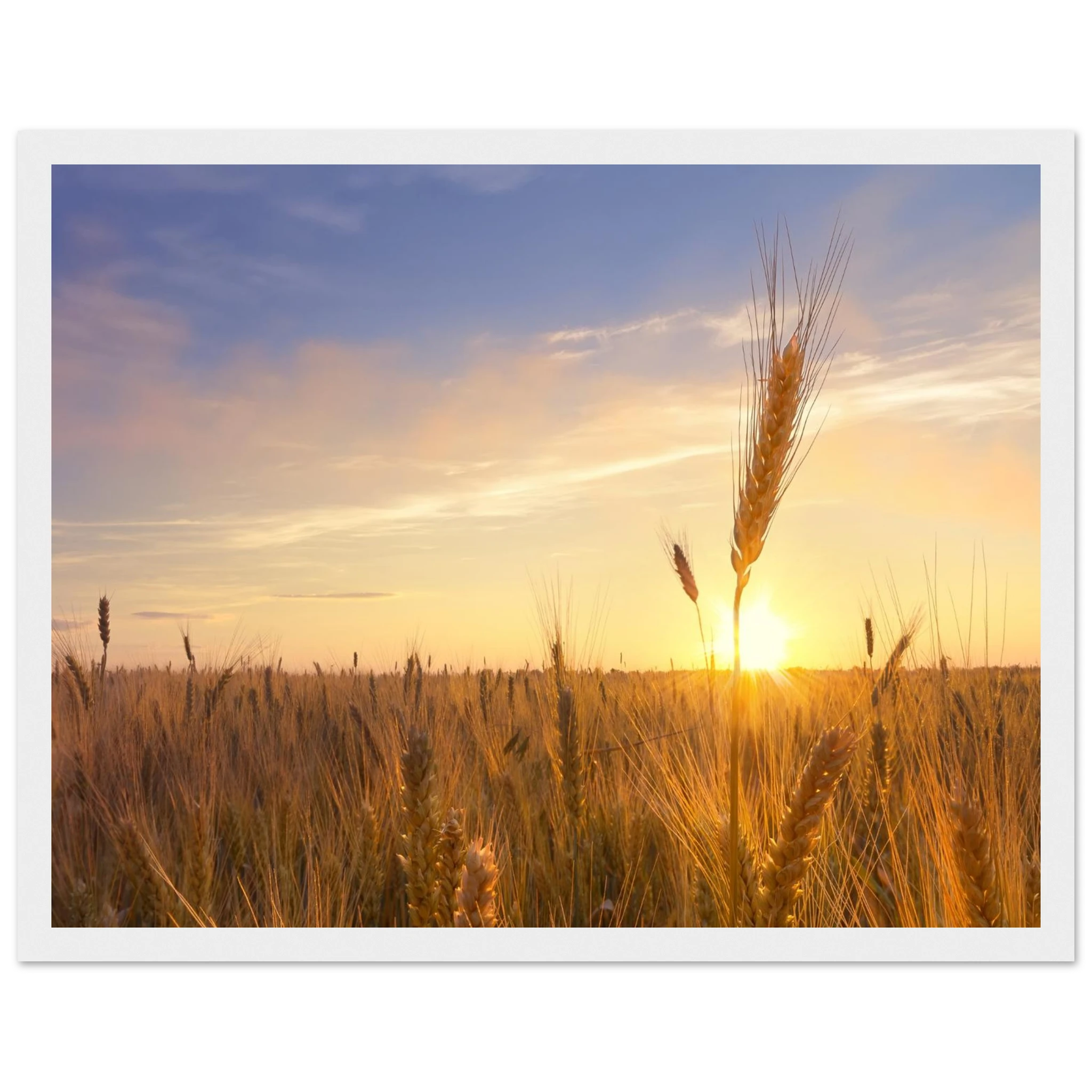 9ddf45ca-9ba8-4e2b-bf6b-0473d48b033c