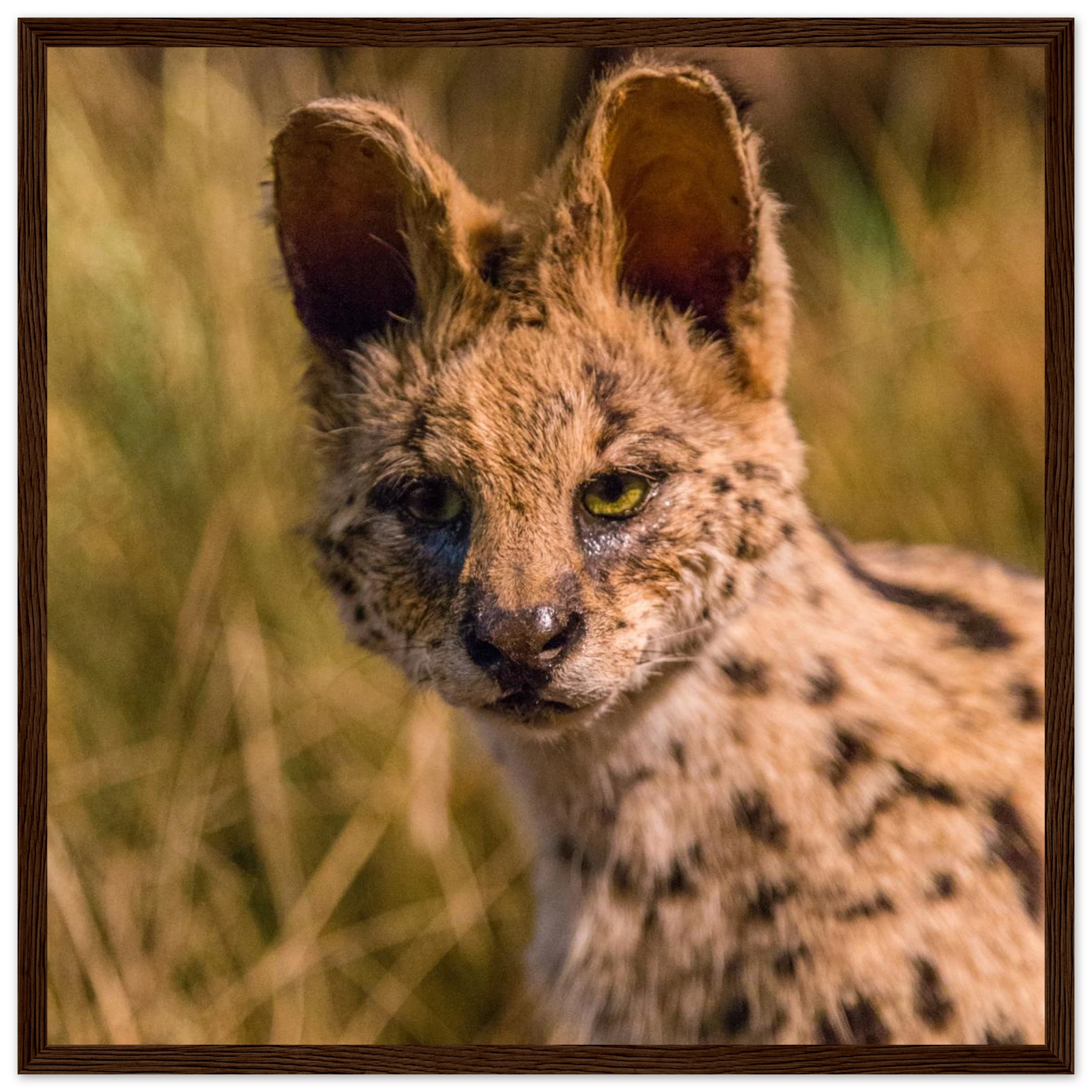 9dfc770d-8bbd-465f-8065-6fec513b7e37