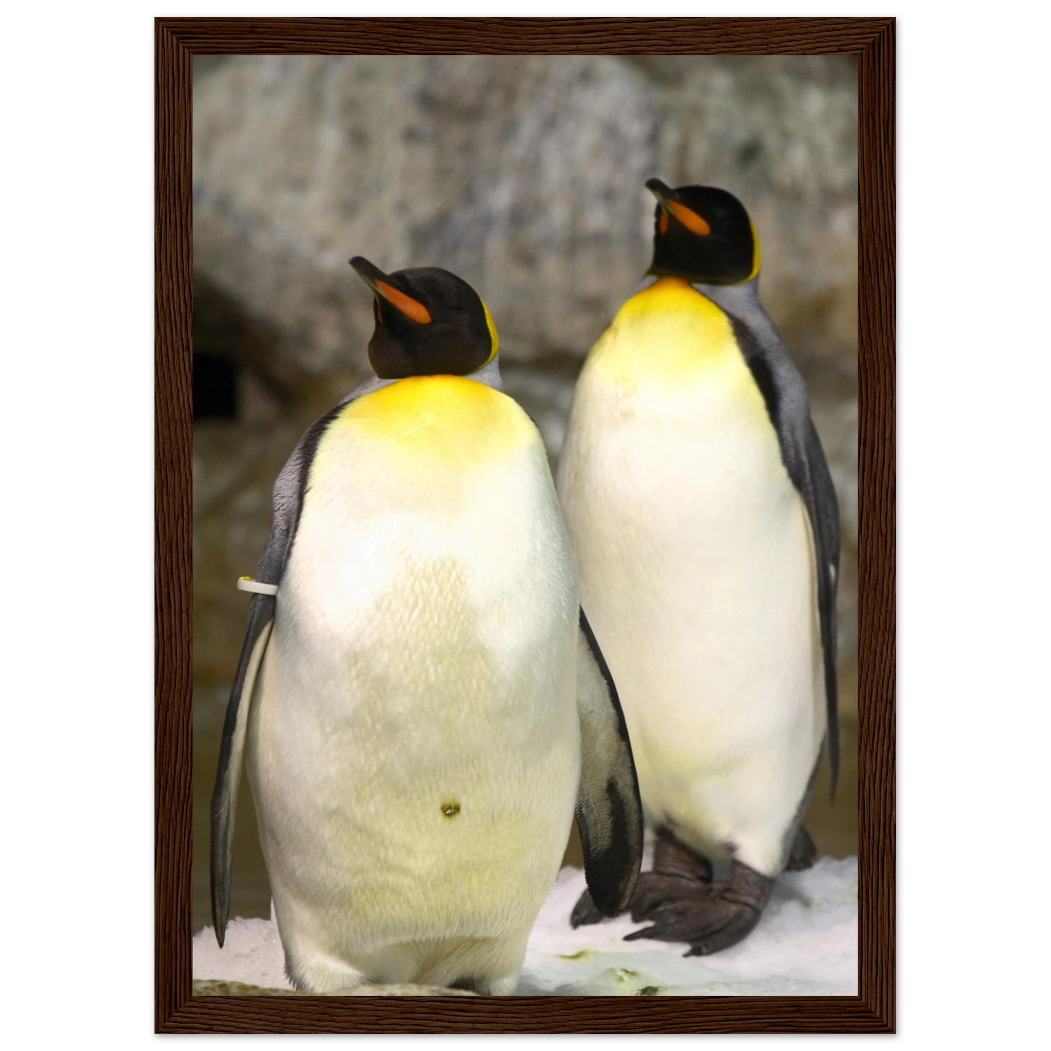 9e040d71-d974-4aab-a178-4ef88ae65a95