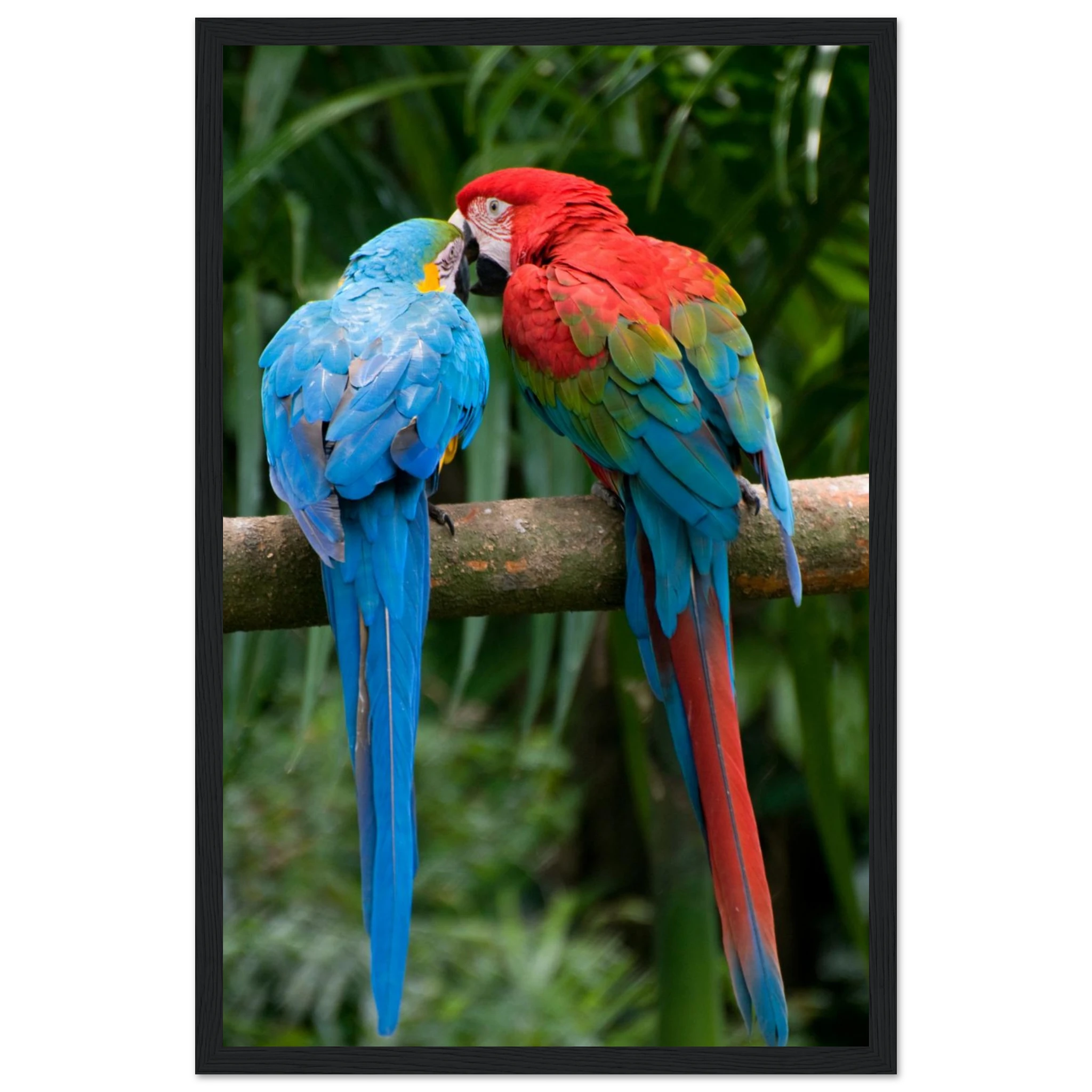 9e05ee37-073e-443b-95f3-6ff7f5993eca