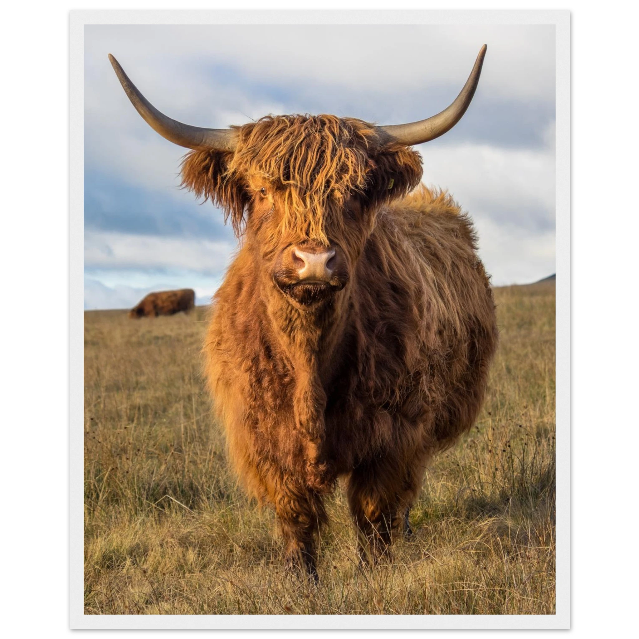 9e0c4bd6-89f4-4b5e-8fae-885fa2d103e2