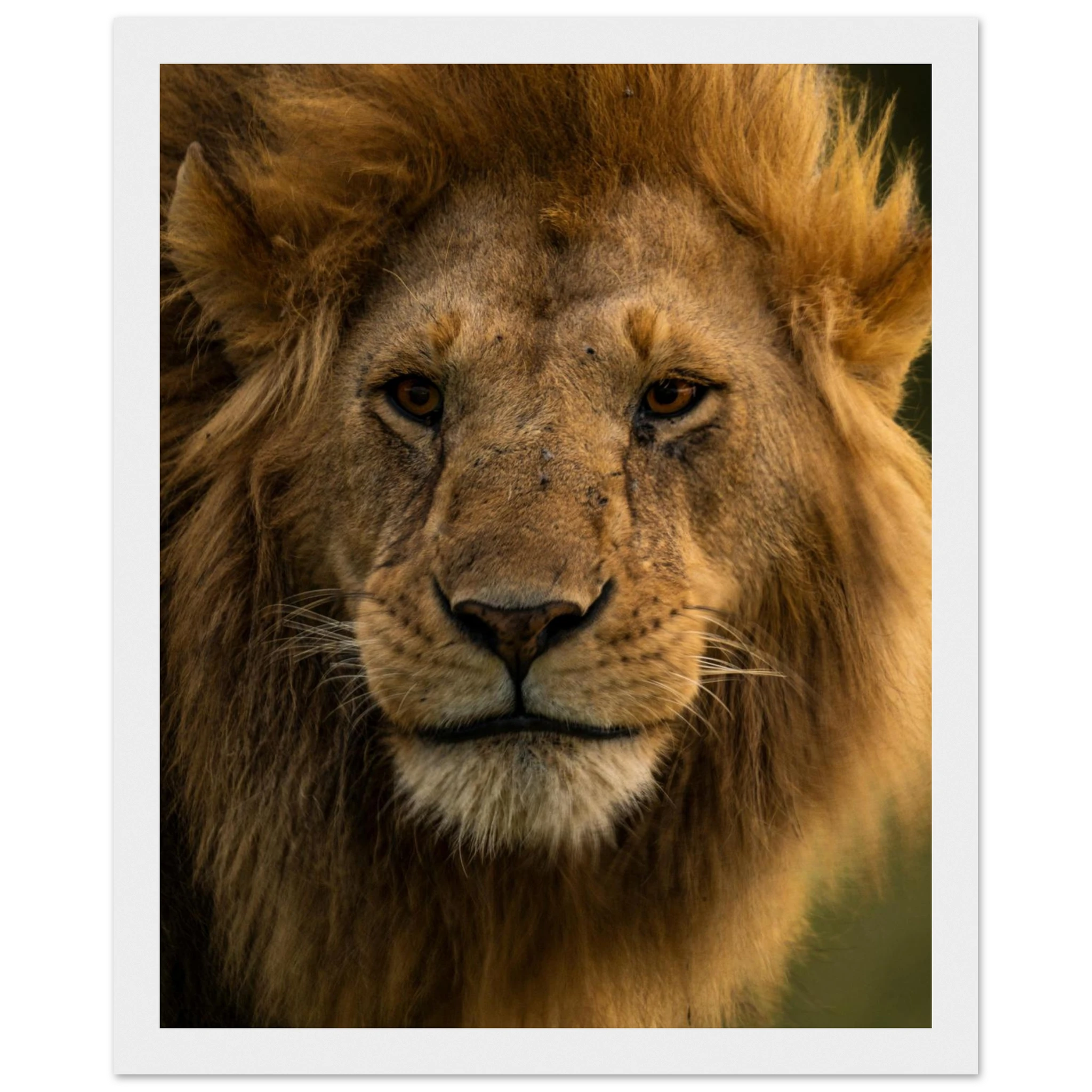 9e21138f-ff9f-4cd1-958d-c7a4c3dc9e67