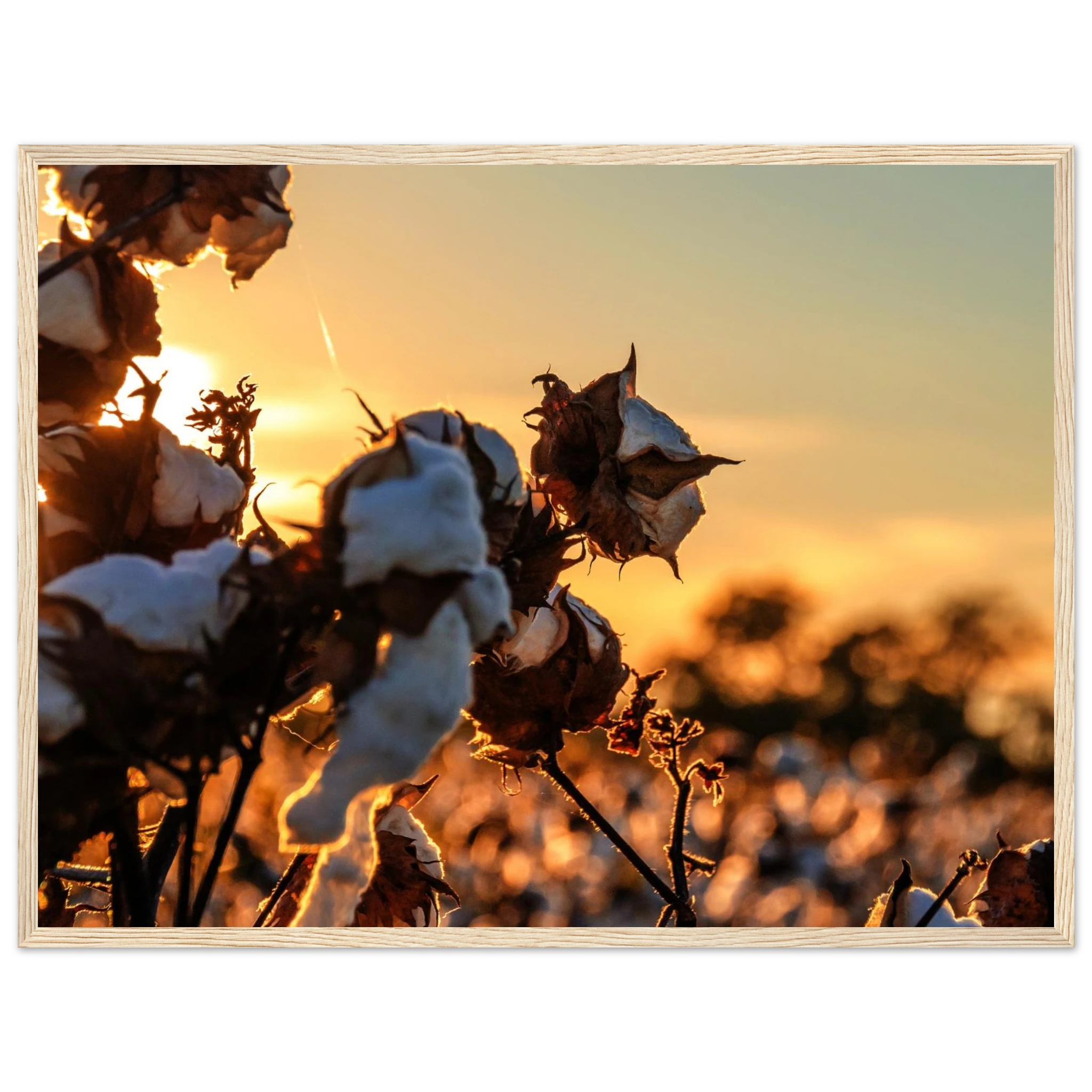 9e2703c6-82f7-4668-96d4-6cbb1dbd47ce