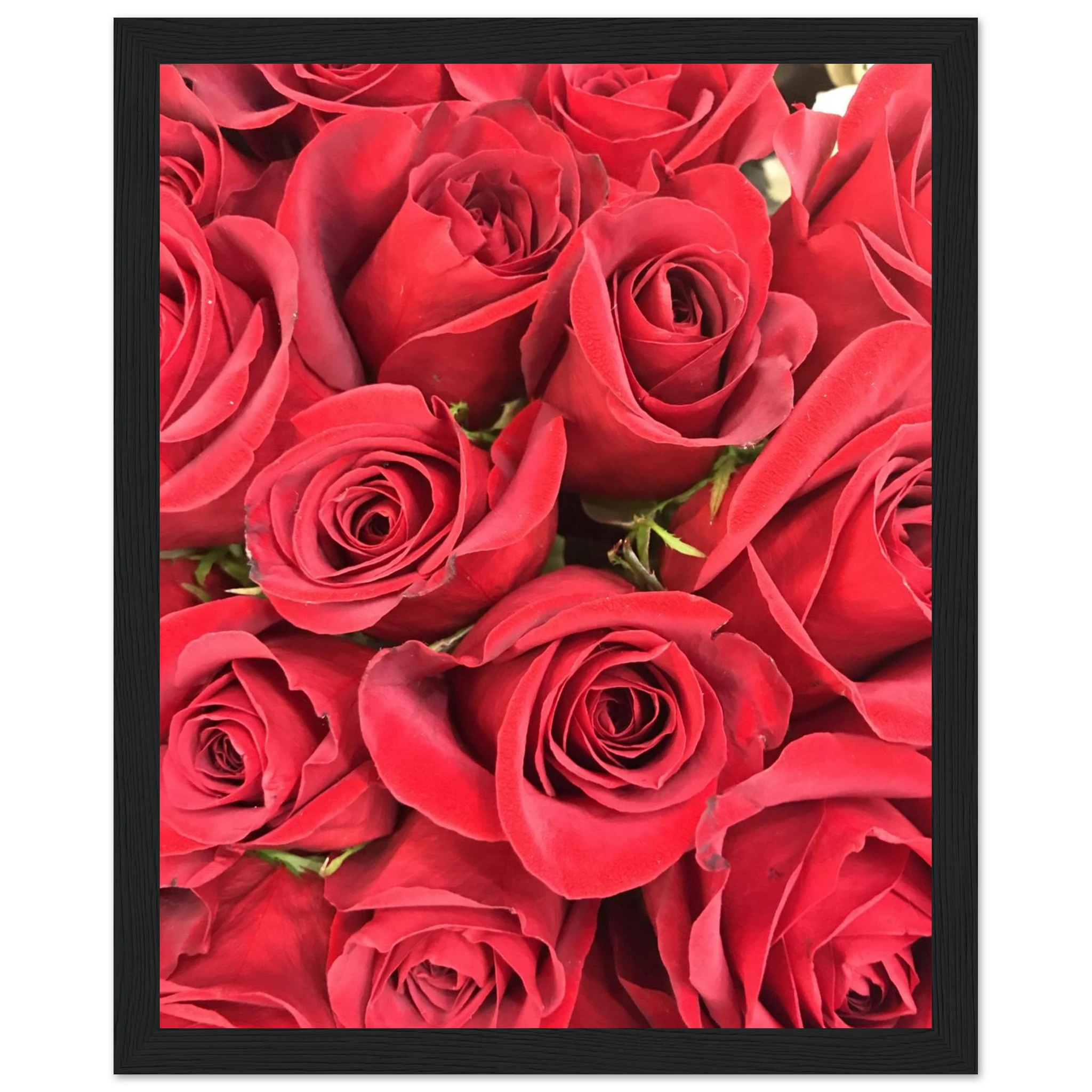 9e7eab54-6330-4706-8a47-e8f014e580f1