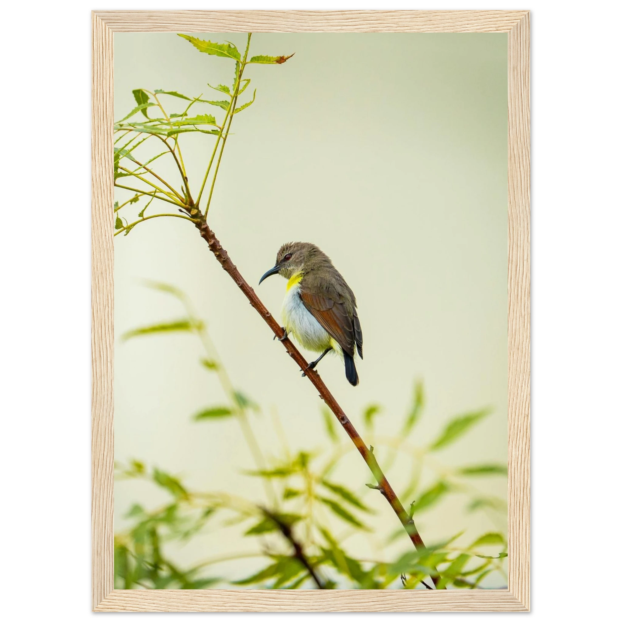 9e8137cd-1f8c-4da8-bf2d-a409234cb88a