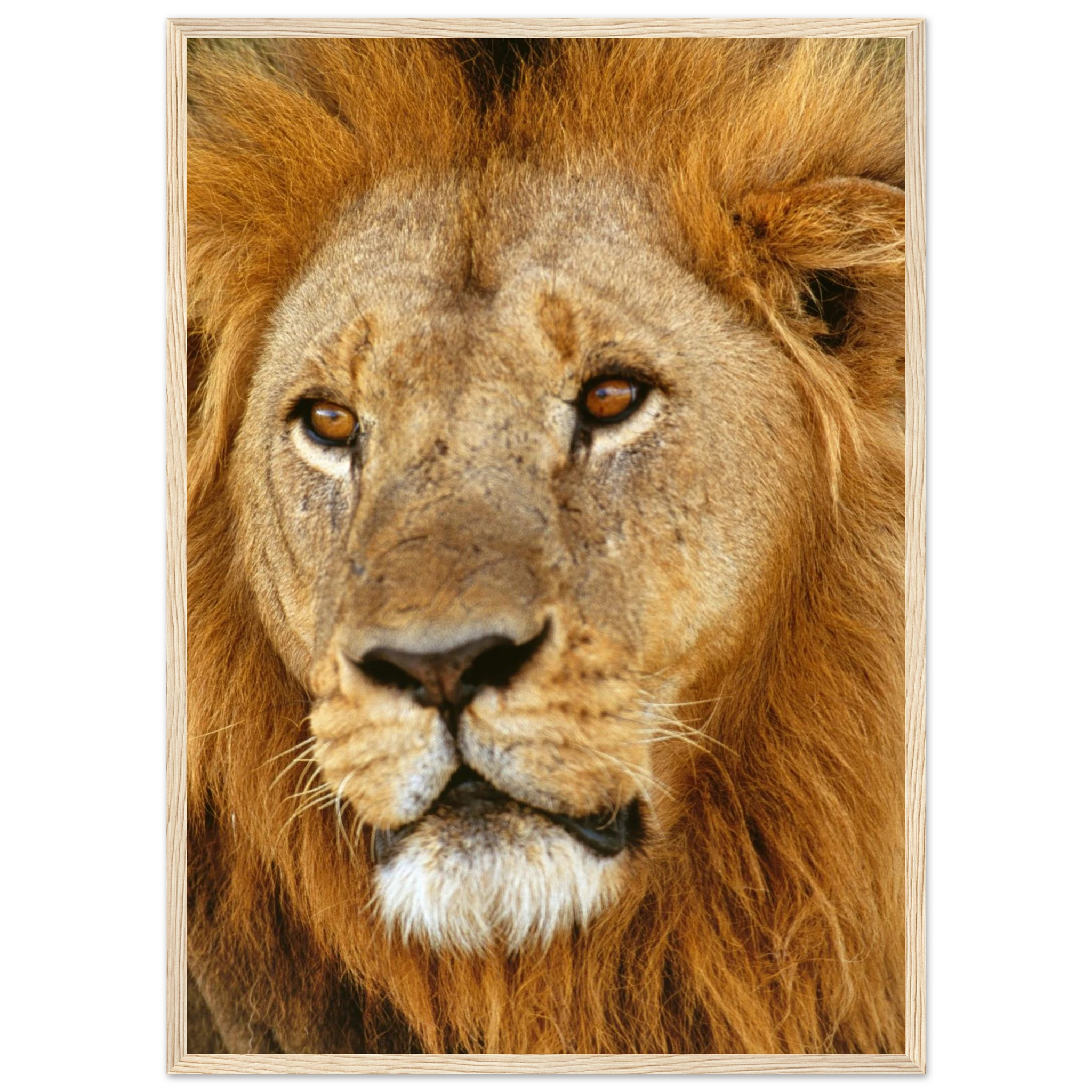 9e825ccd-a2f2-44d7-90e4-bff30cde71d5