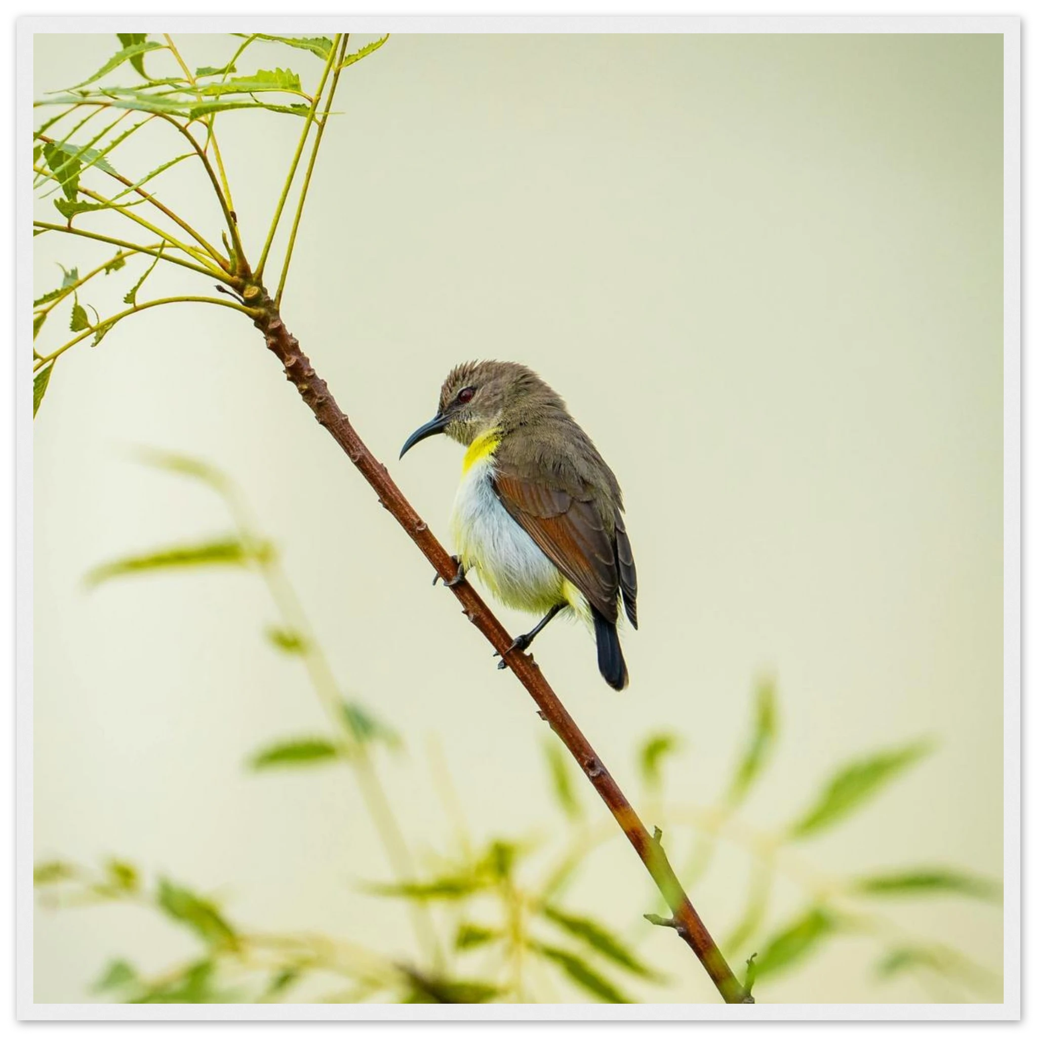 9e93a91d-659f-4b74-84d2-1944dac3e6ea