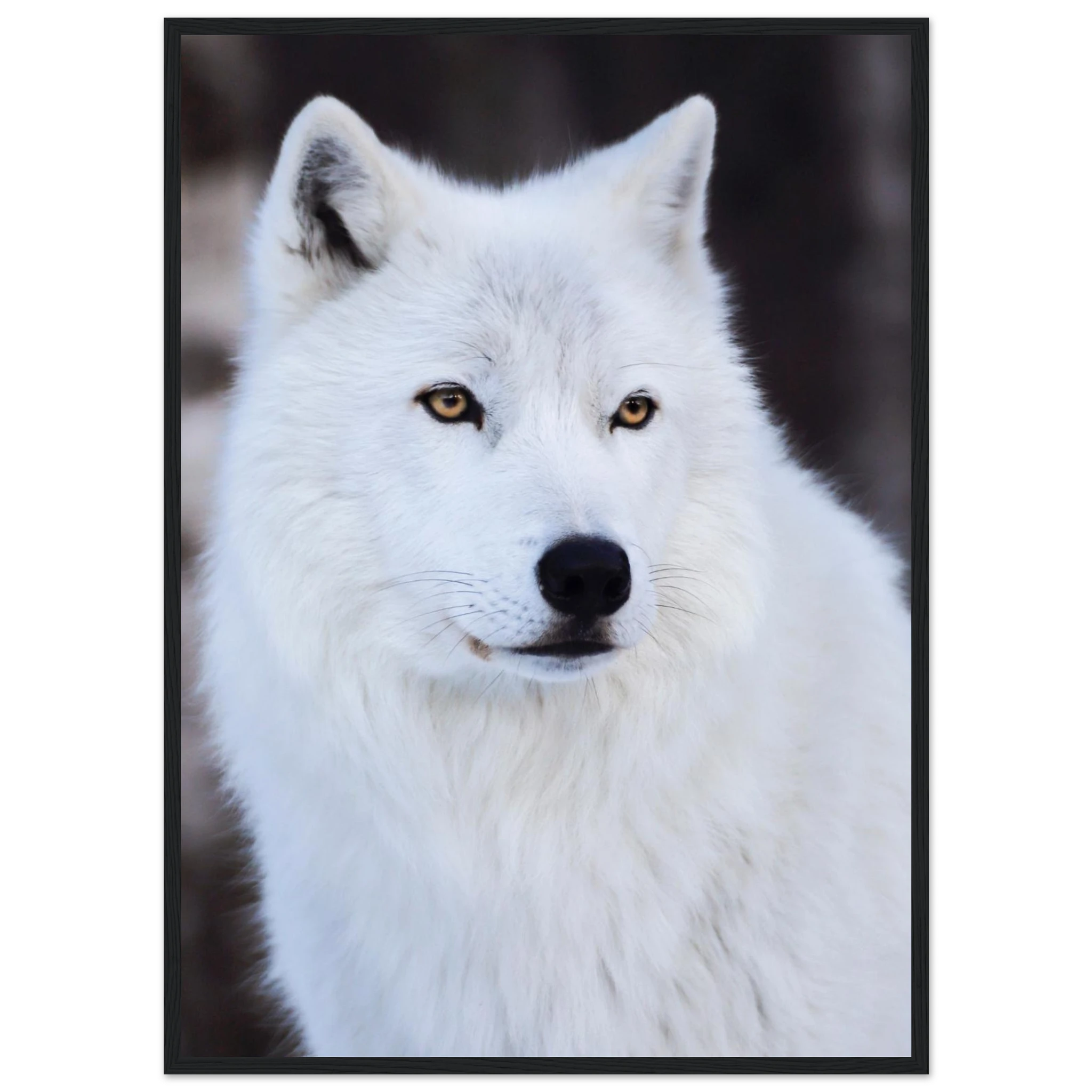 9e9bc26b-c757-42b0-a8dd-eceb38a35dc0