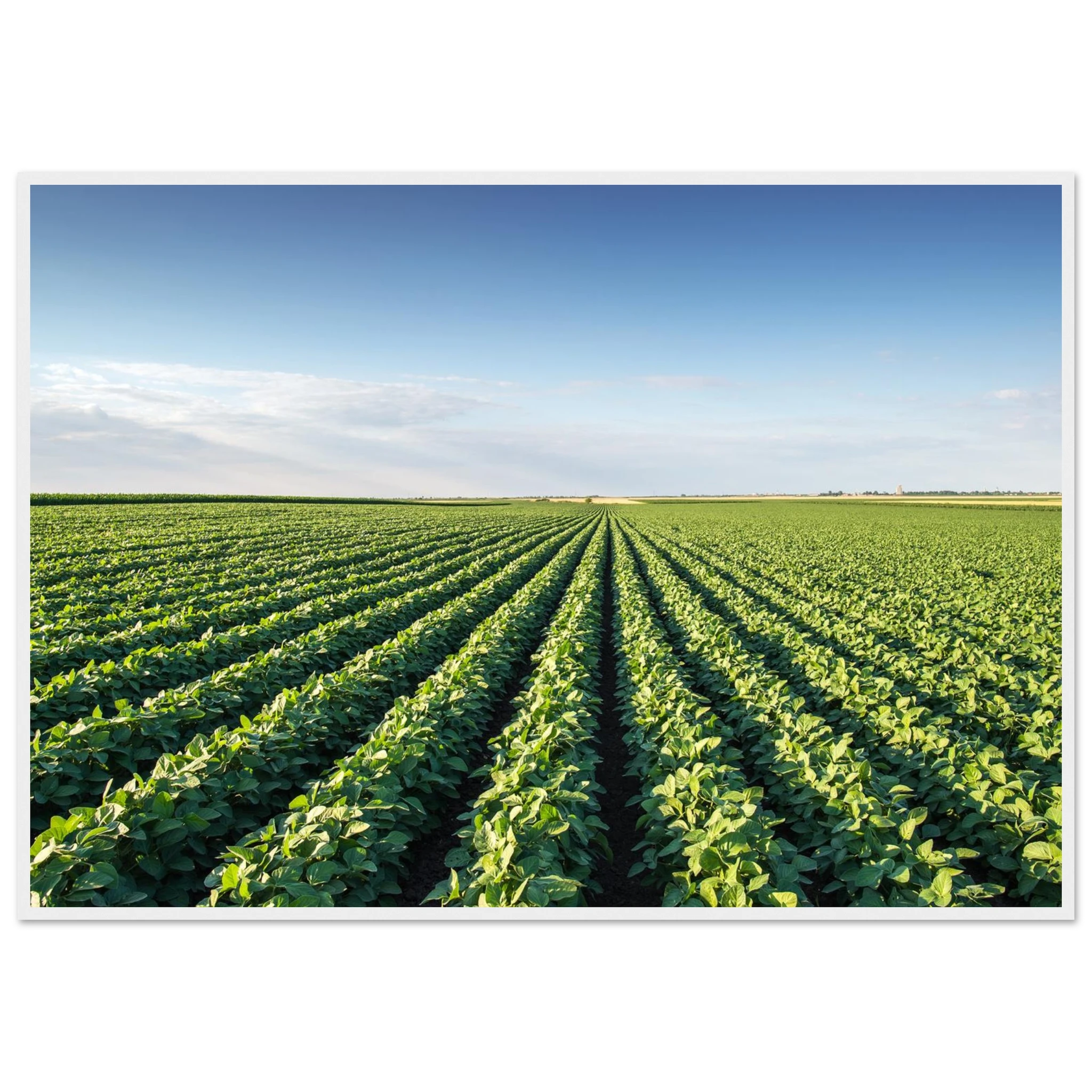 9ea0e59a-6281-45a2-bf30-291d499437f7