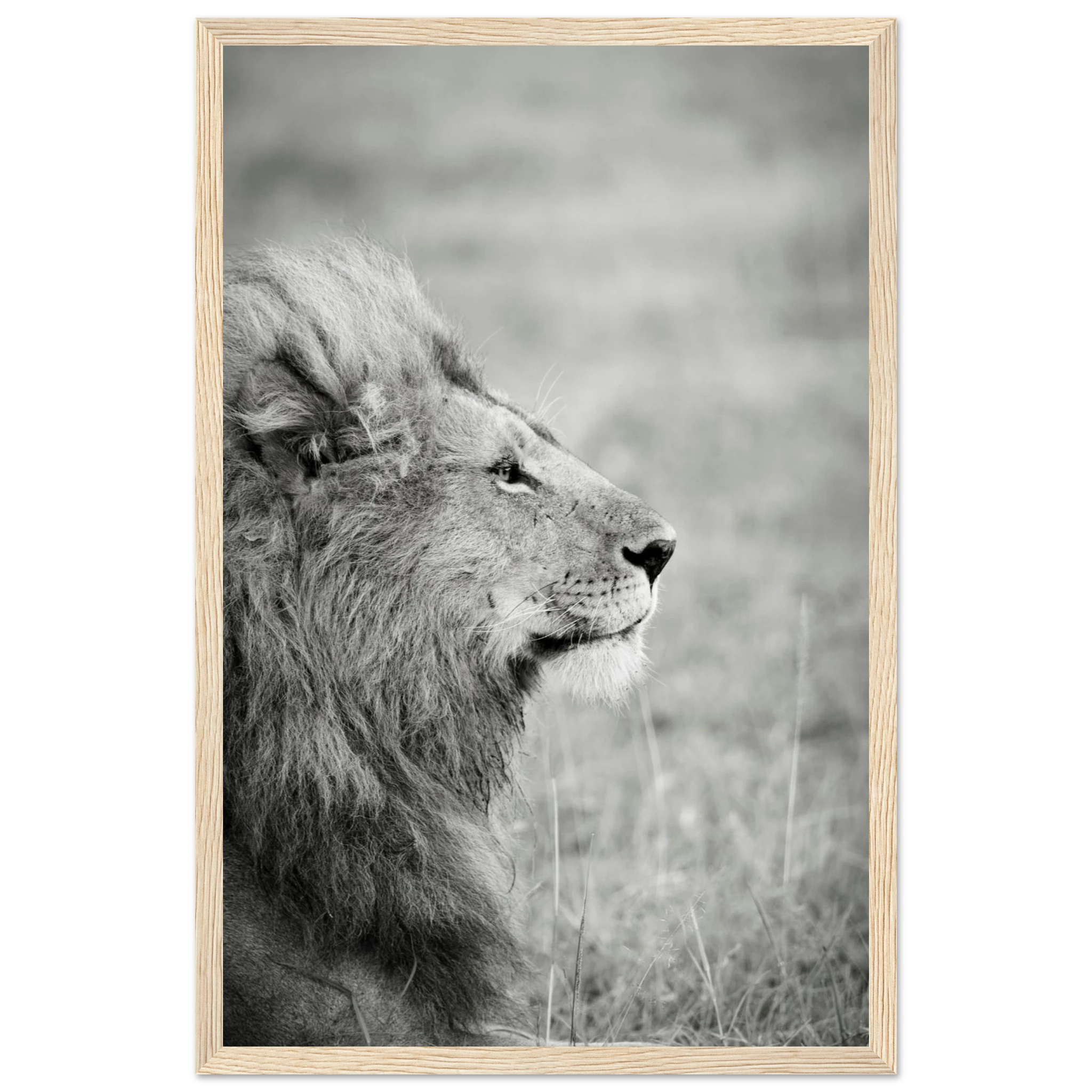 9eb0ec12-8927-4f07-953b-591714b57340