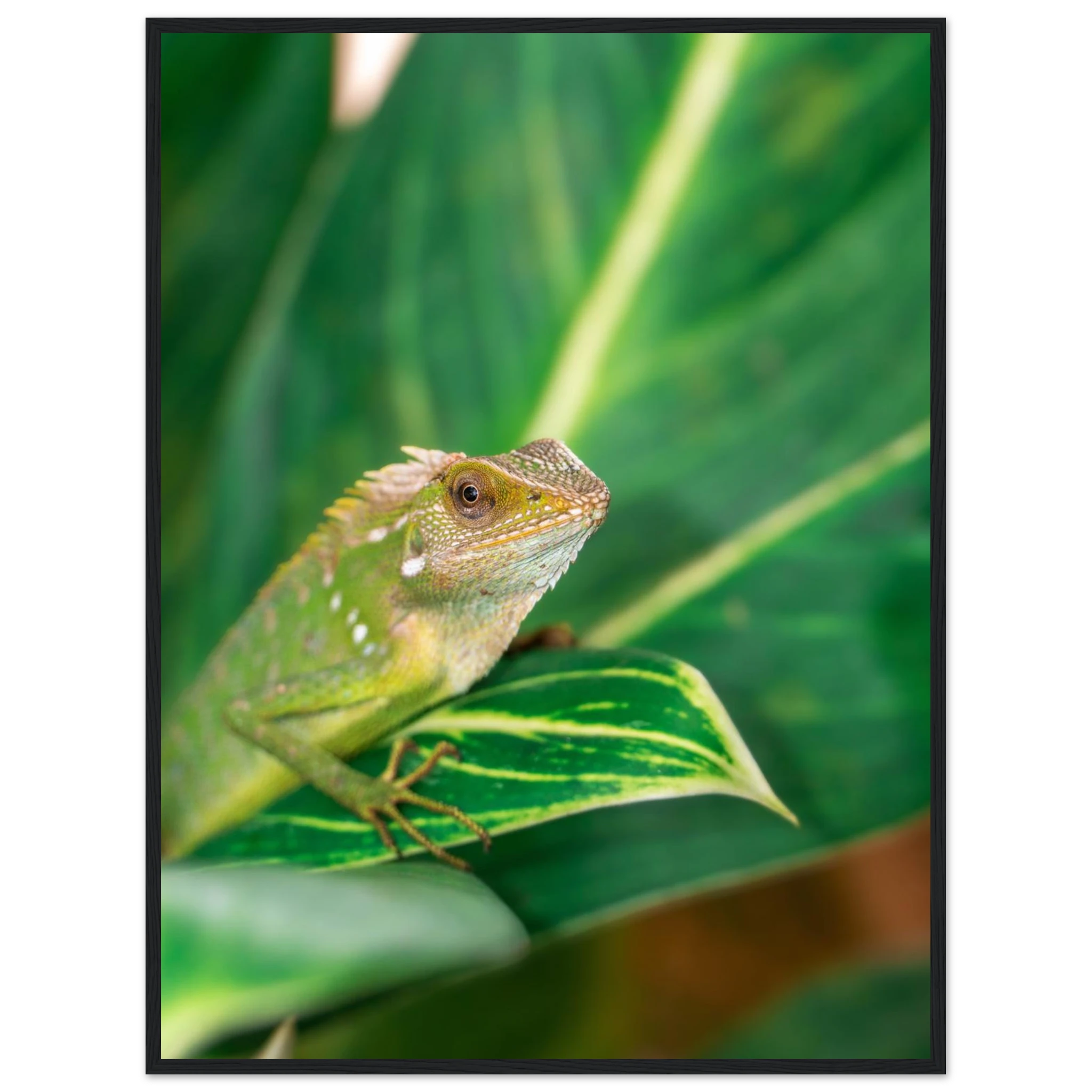 9ee0644e-3db5-4e2a-b1e5-4218004300dd