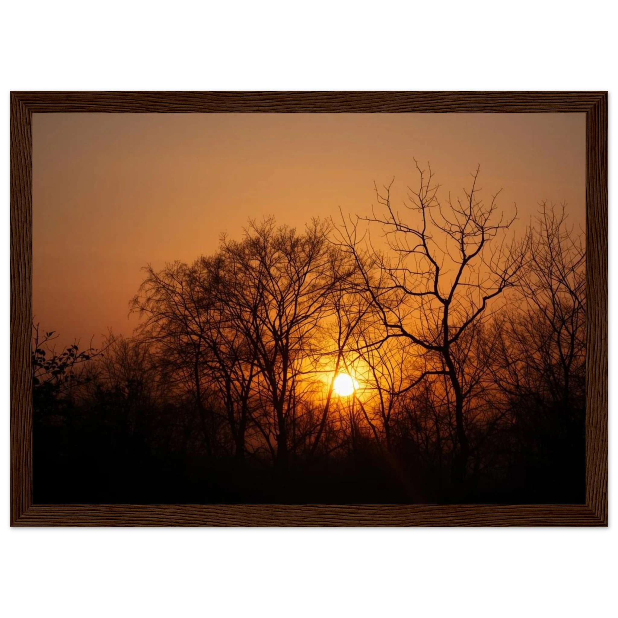 9ee23e29-d329-460b-aed0-bc6d442e5e50