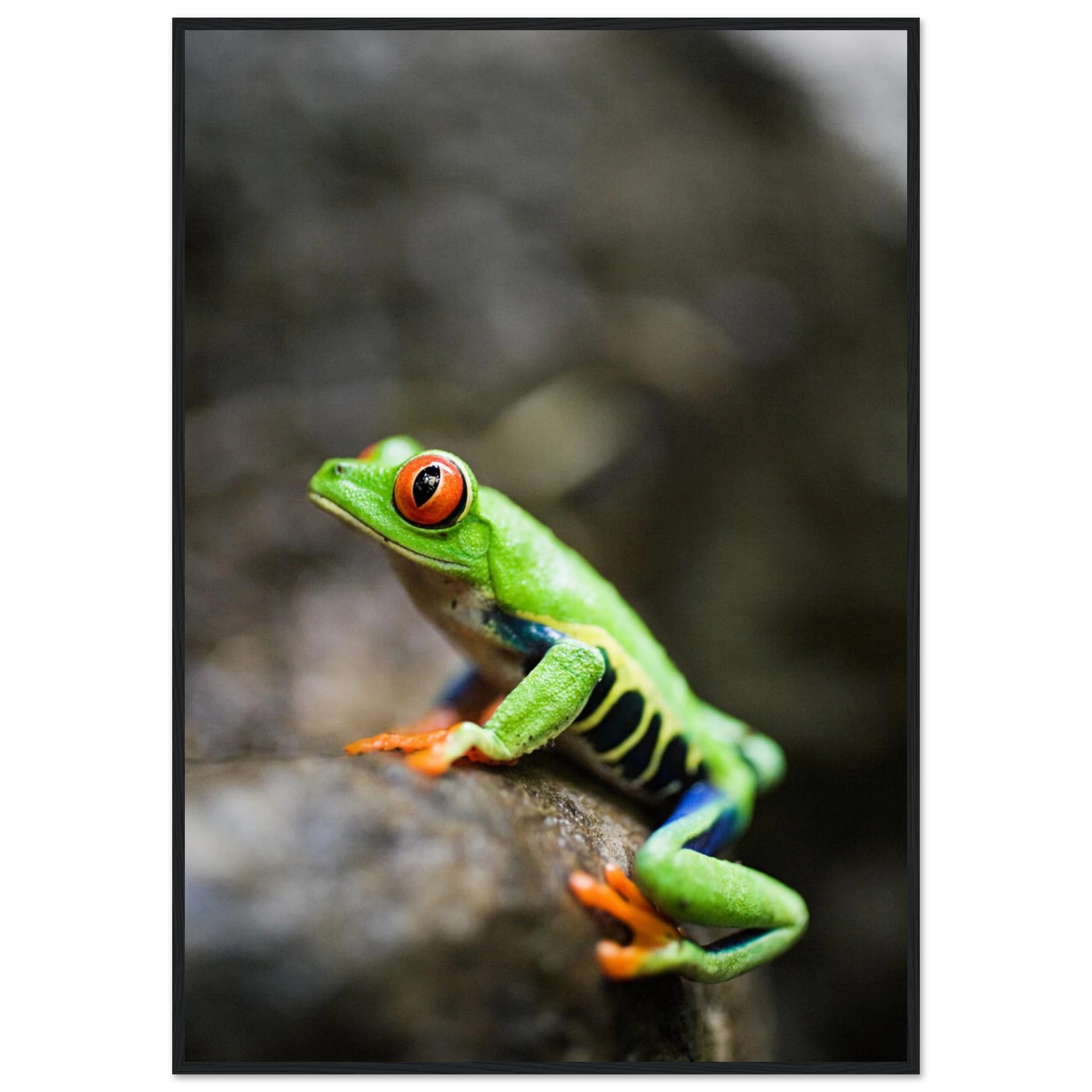 9efa1290-5e7e-4485-8933-0f39bb92f3a2