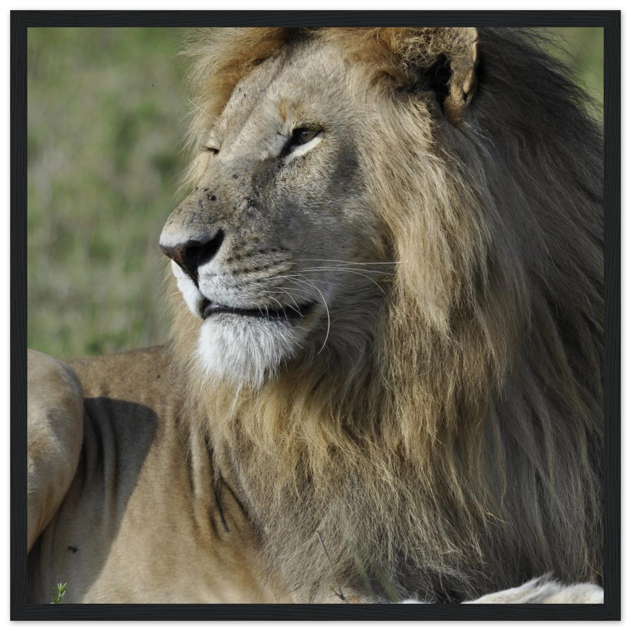 9f1244b5-907c-4cb1-a1d3-366956ac1734