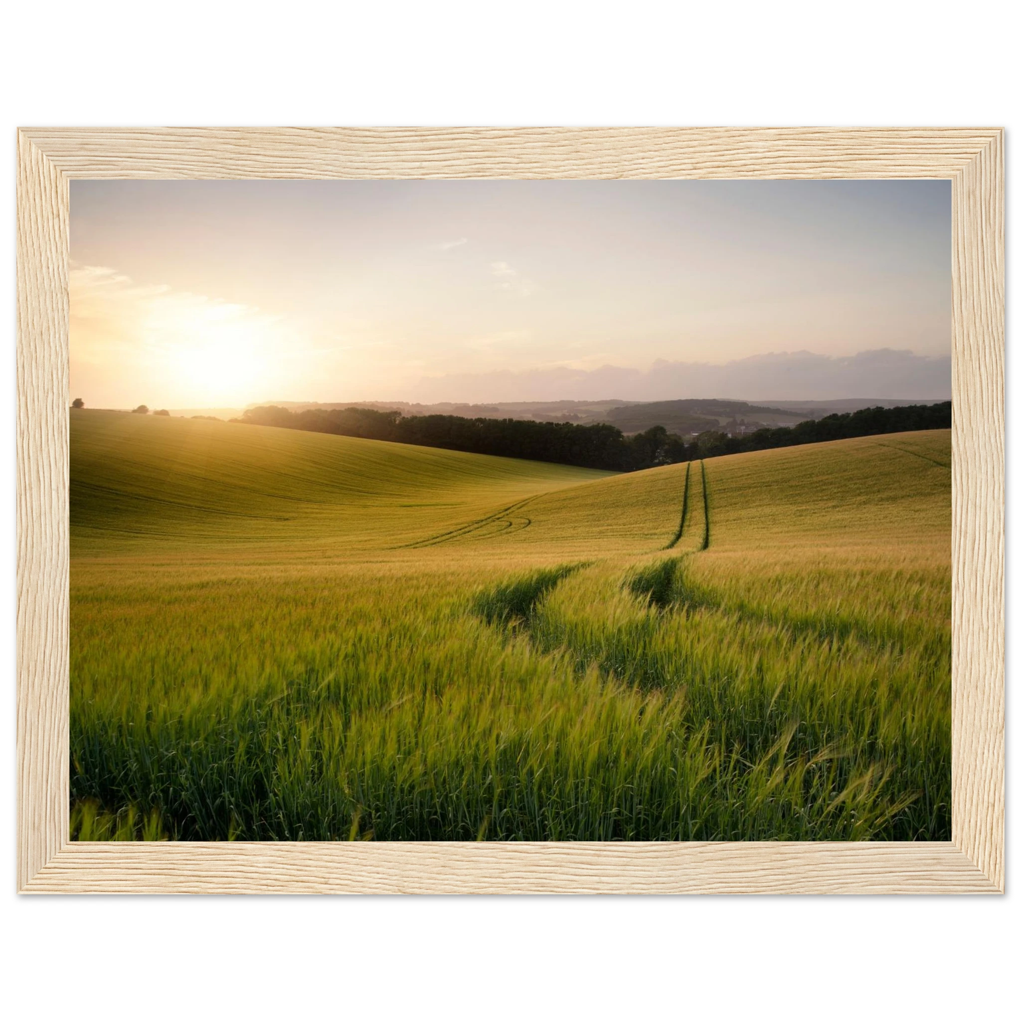 9f1d660c-e0e7-4e4e-8400-6101a905e0e5