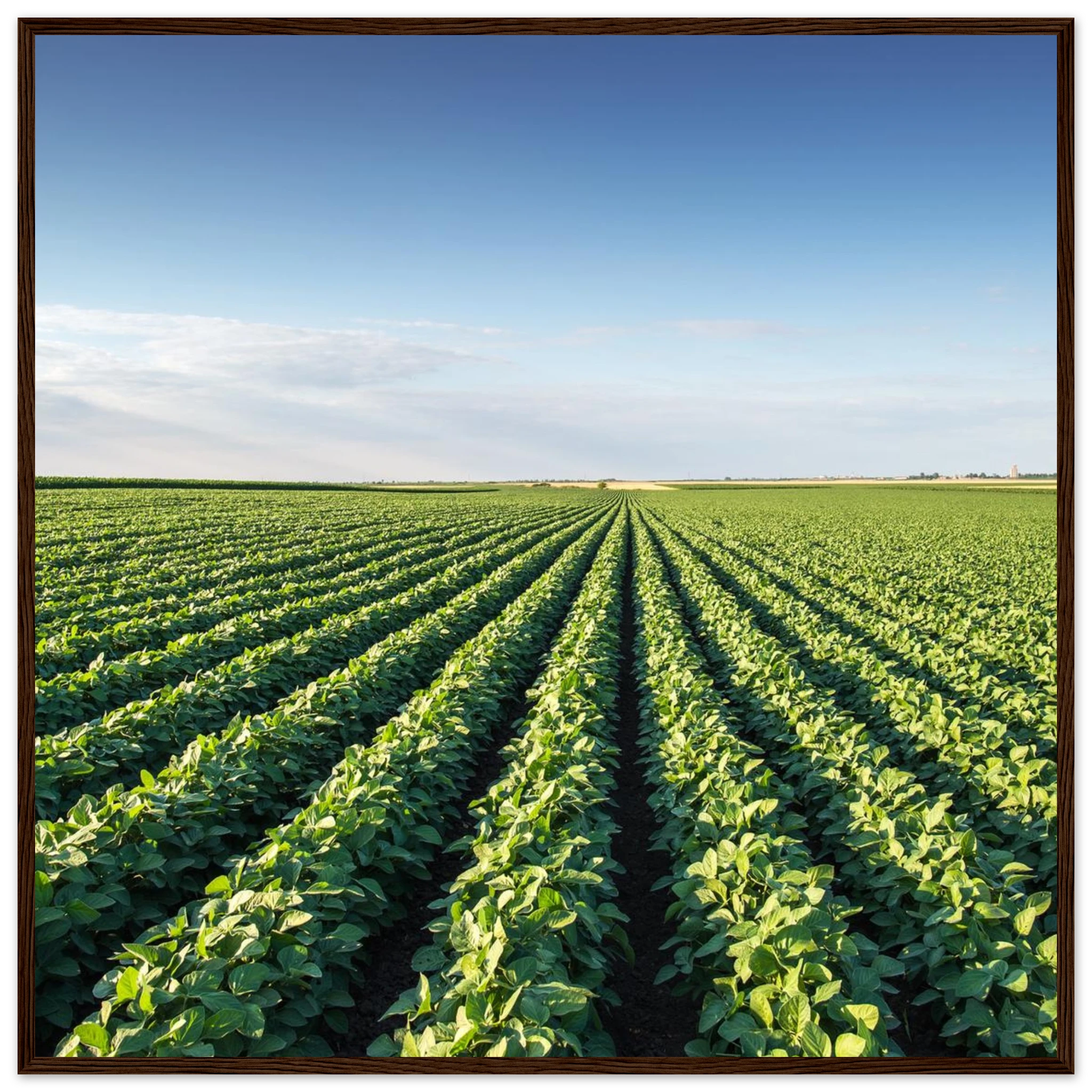 9f1dec5d-0e60-463b-a86e-08edd001fb47