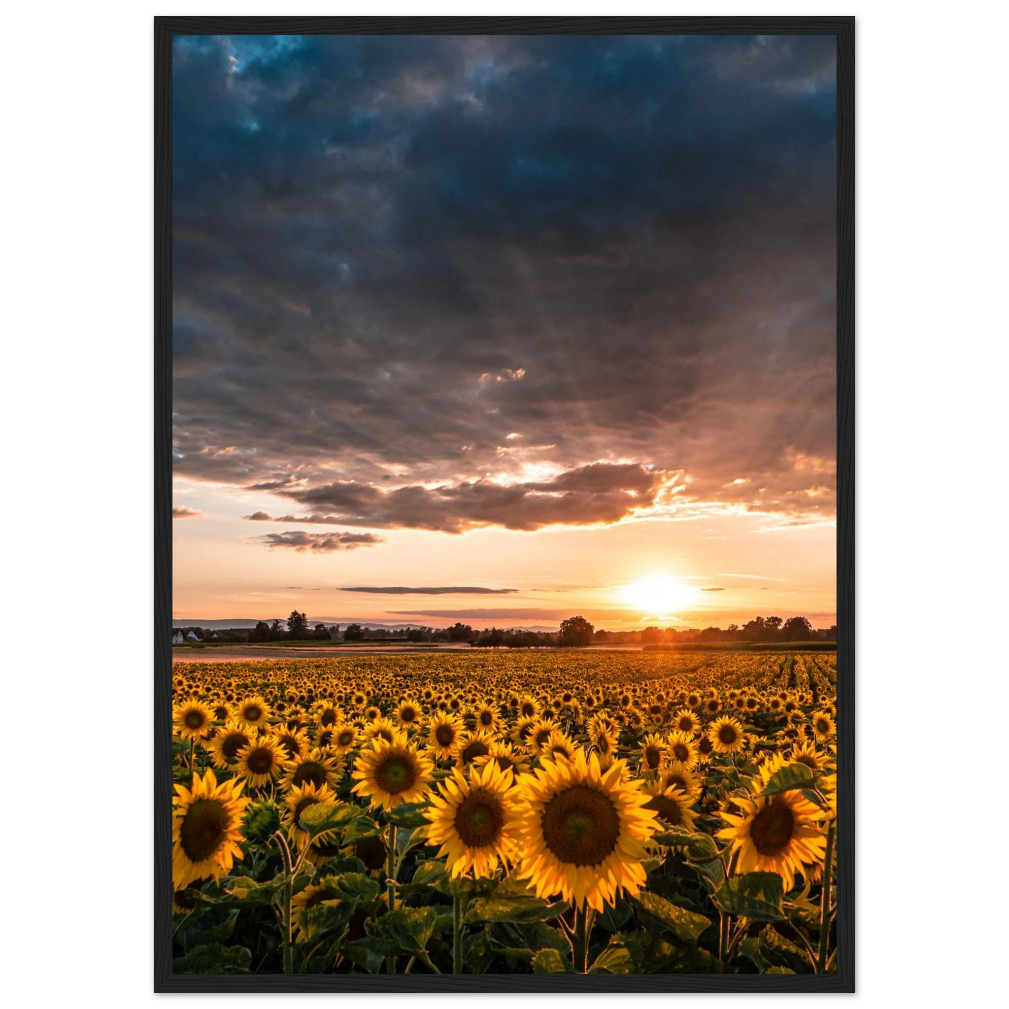 9f26096c-614c-4bb4-908c-edf7a54e25e3