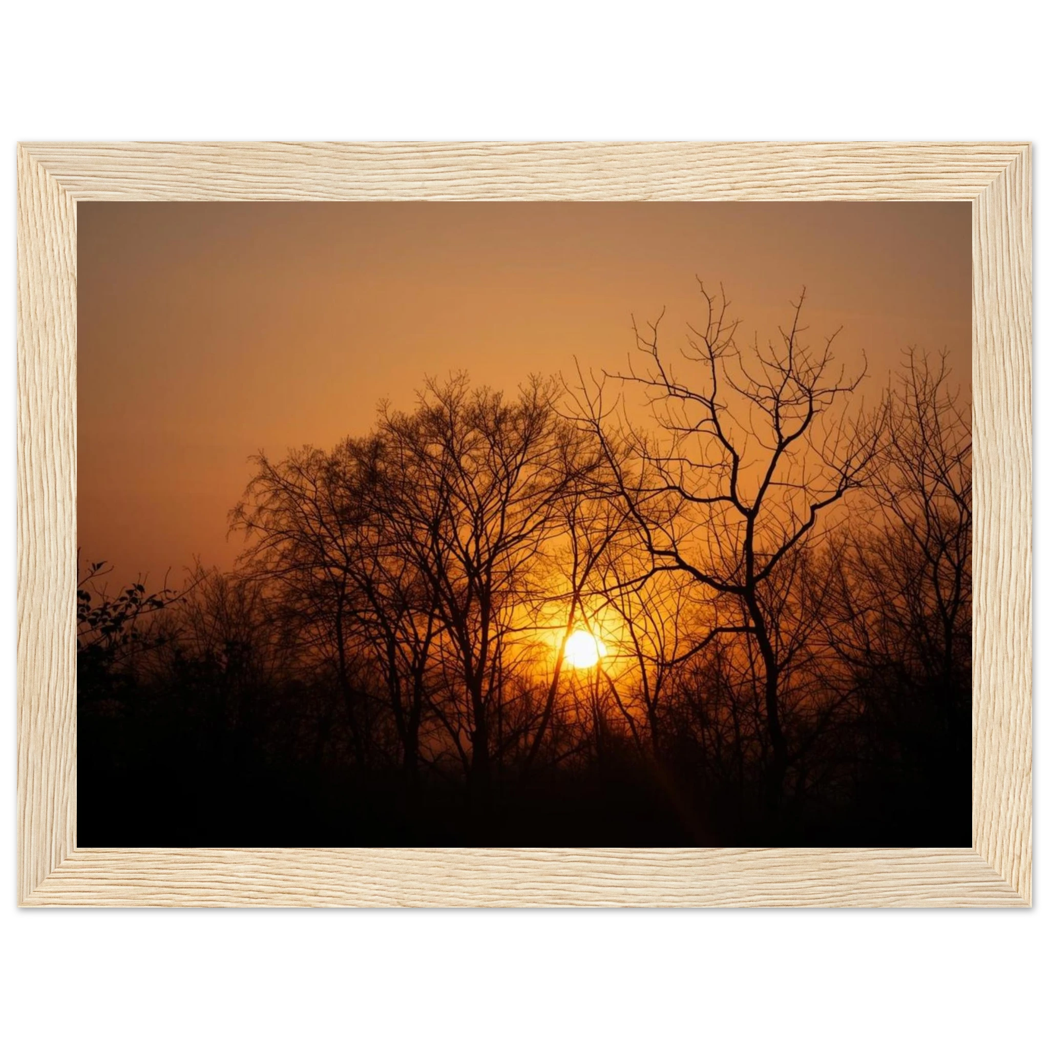 9f27782e-7dae-480b-a7e1-64de20f95080