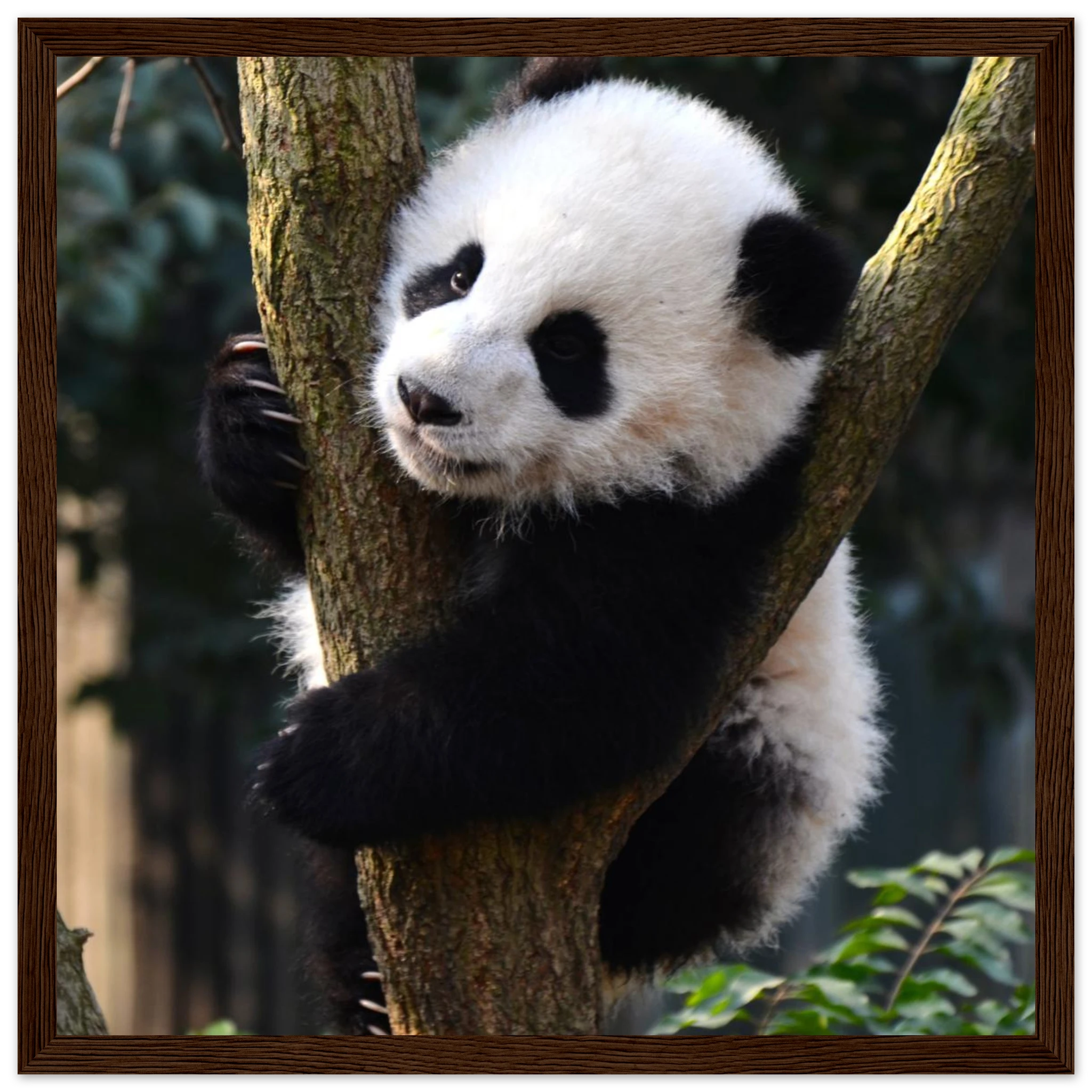 9f2af328-9adb-43f8-9df9-68672953c6b2